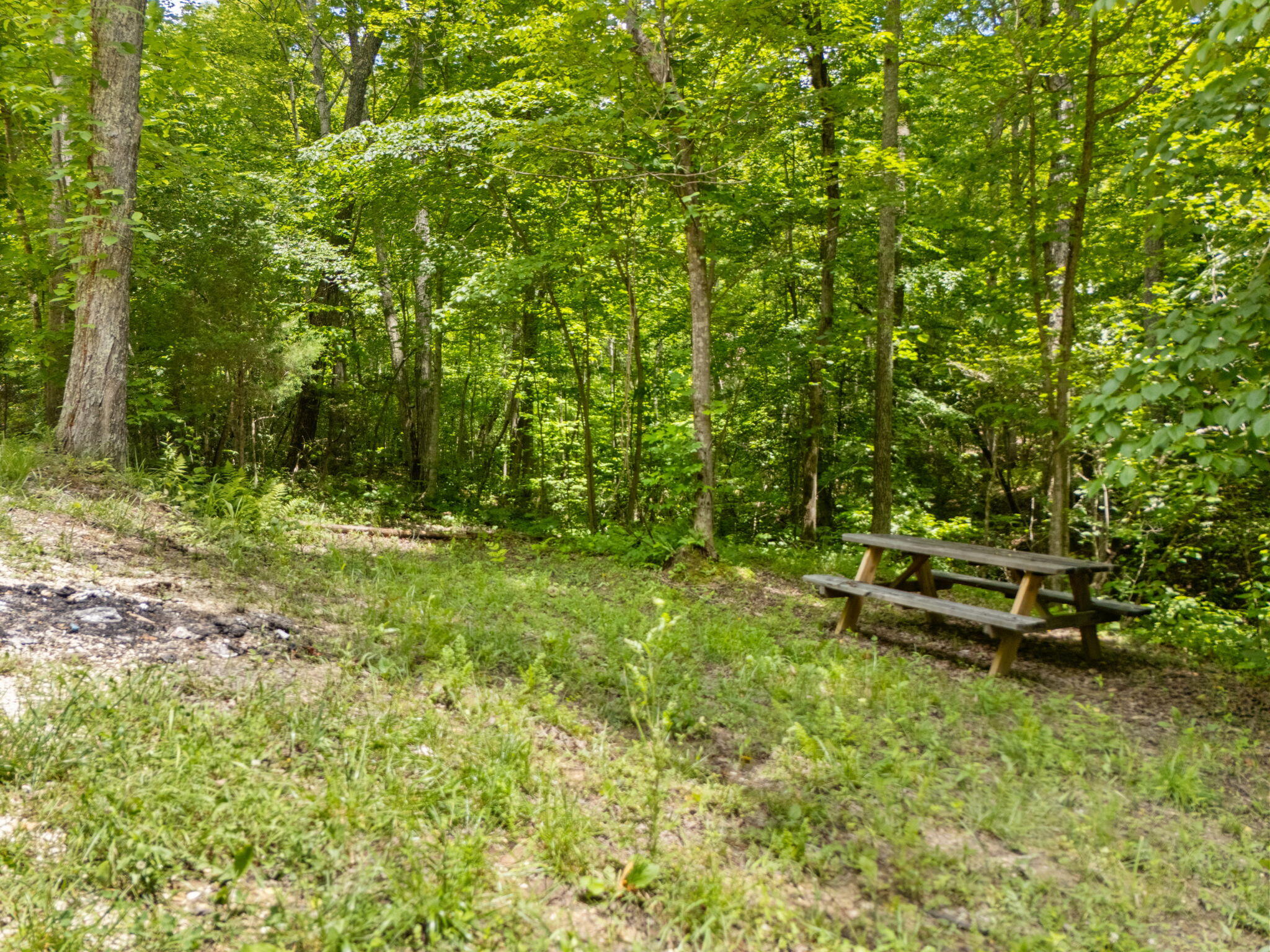 1137 High Rock Road Property Photo 49