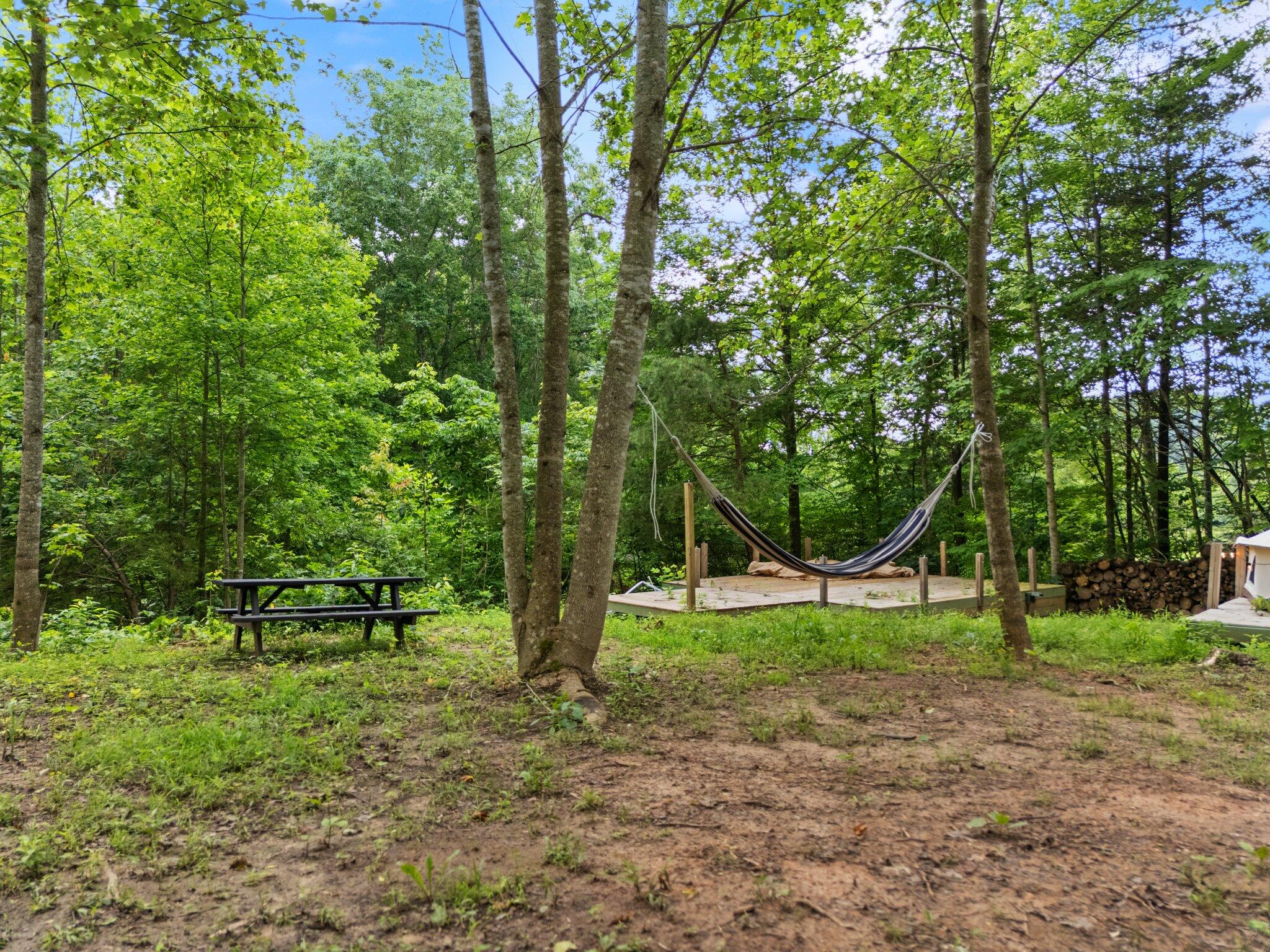 1137 High Rock Road Property Photo 92