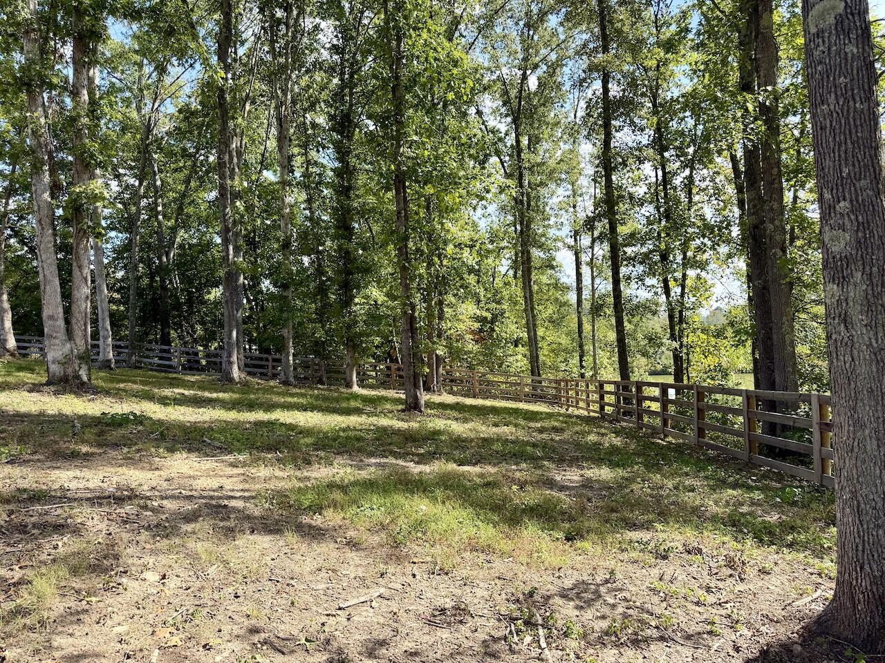 1093 Topton Road Property Photo 7