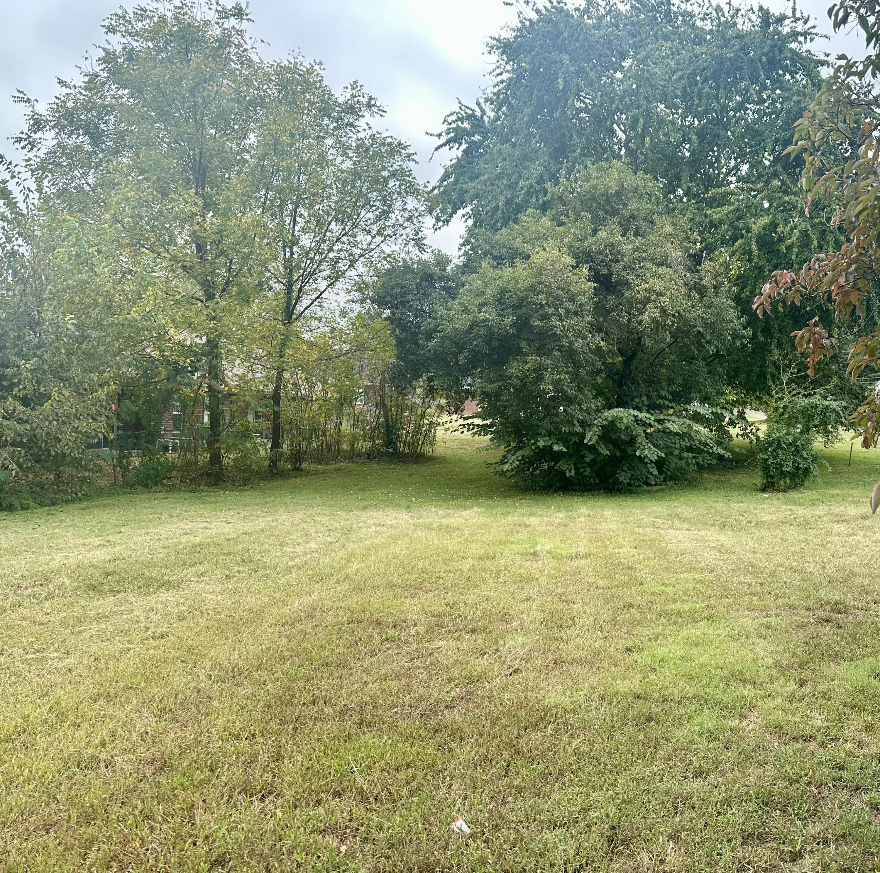 132 Langdon Street Property Photo 1