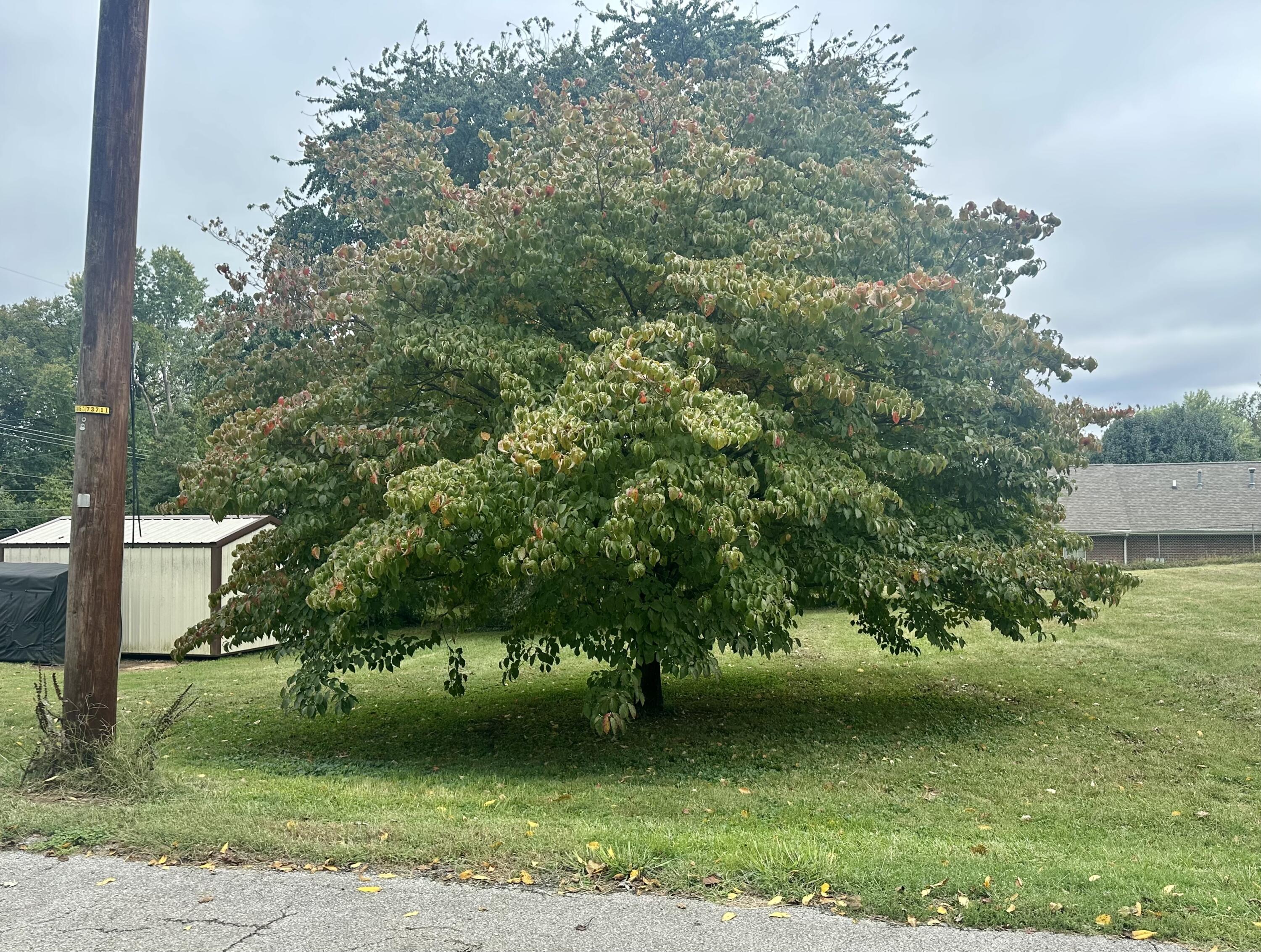 Lot 2 Sallee Street Property Photo 2