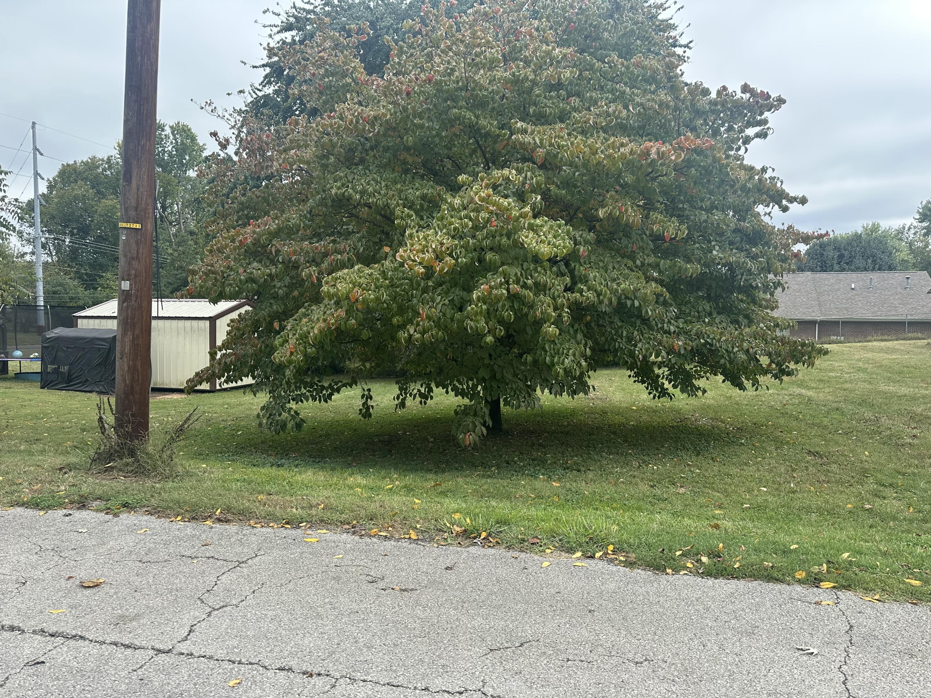 Lot 2 Sallee Street Property Photo 3