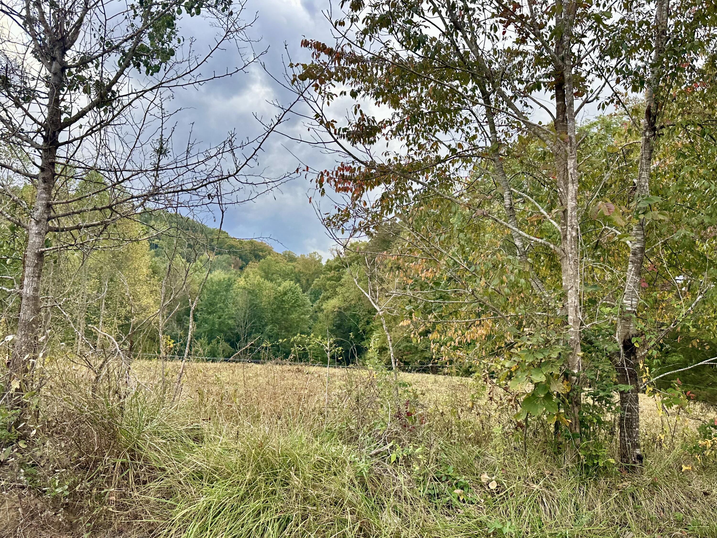 1073 Old Way Road Property Photo 2