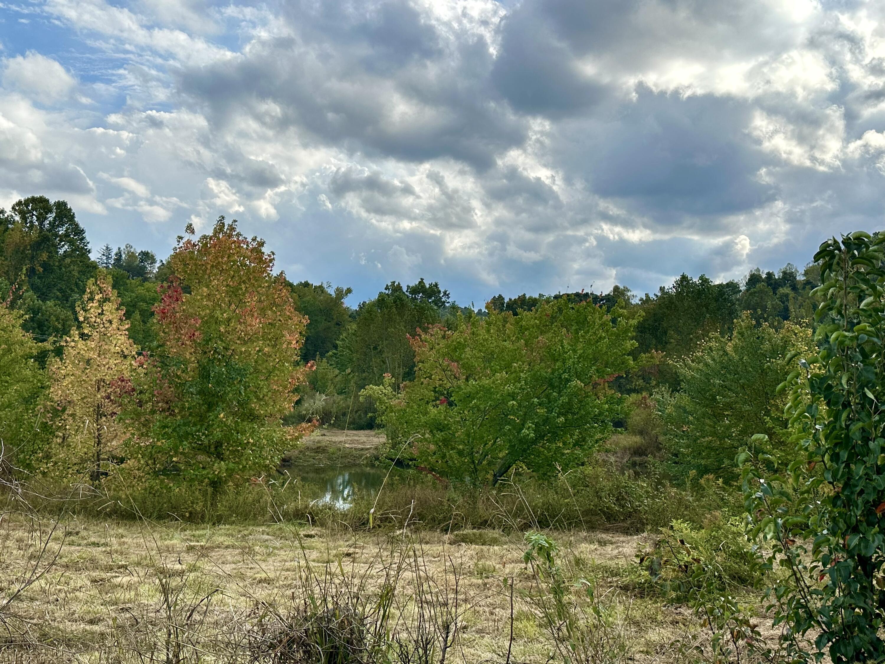 1073 Old Way Road Property Photo 14