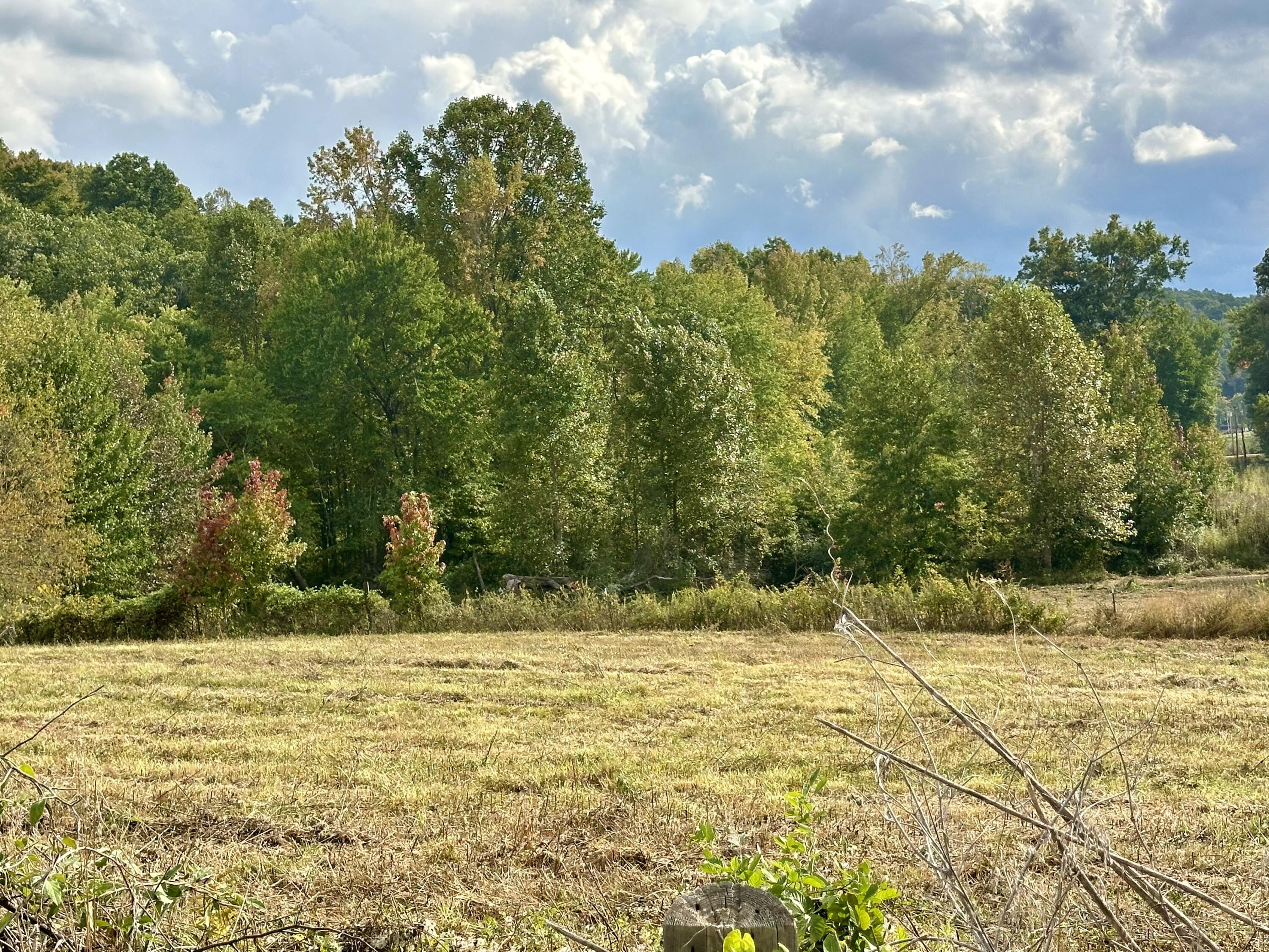 1073 Old Way Road Property Photo 18