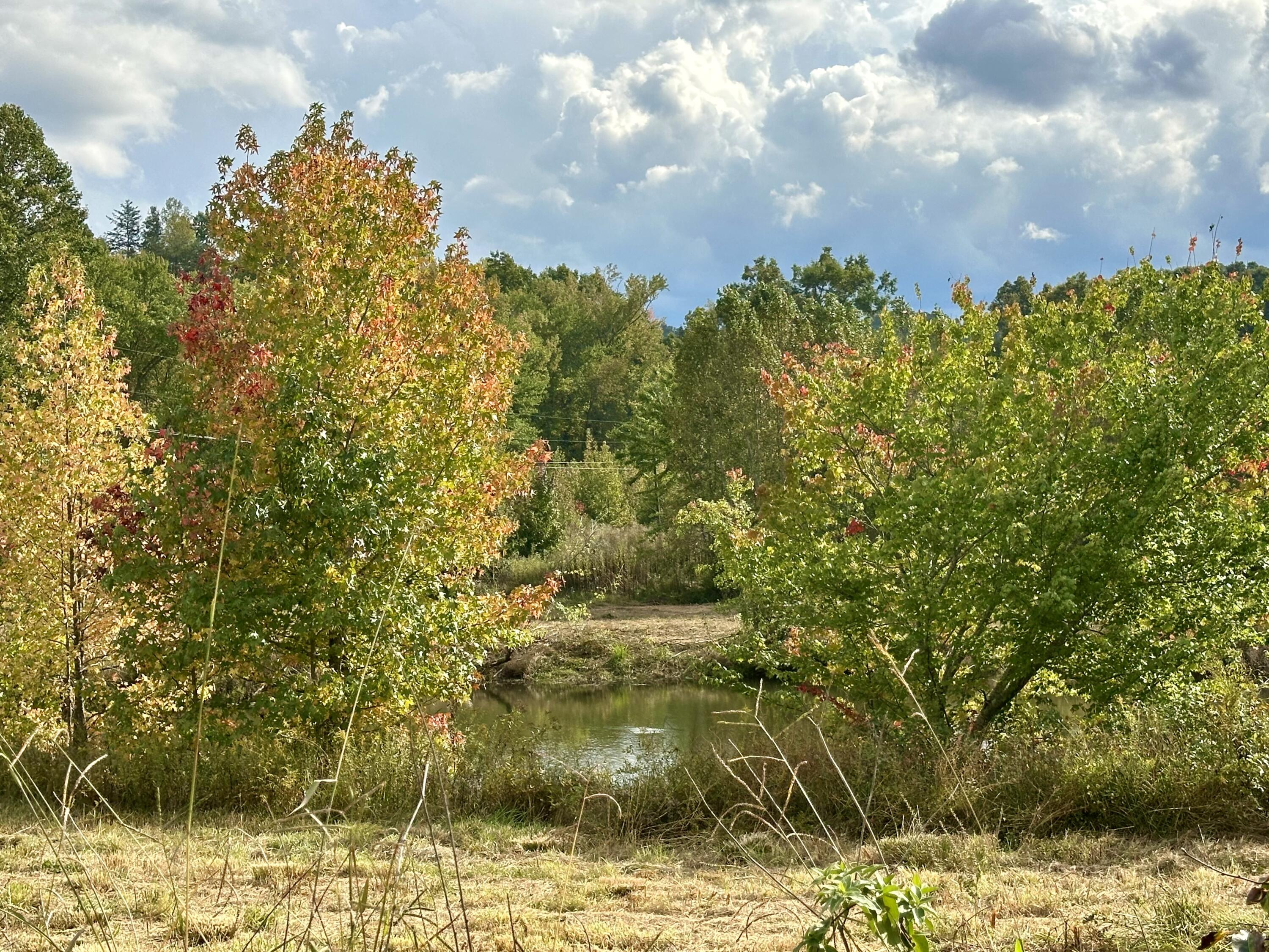 1073 Old Way Road Property Photo 19
