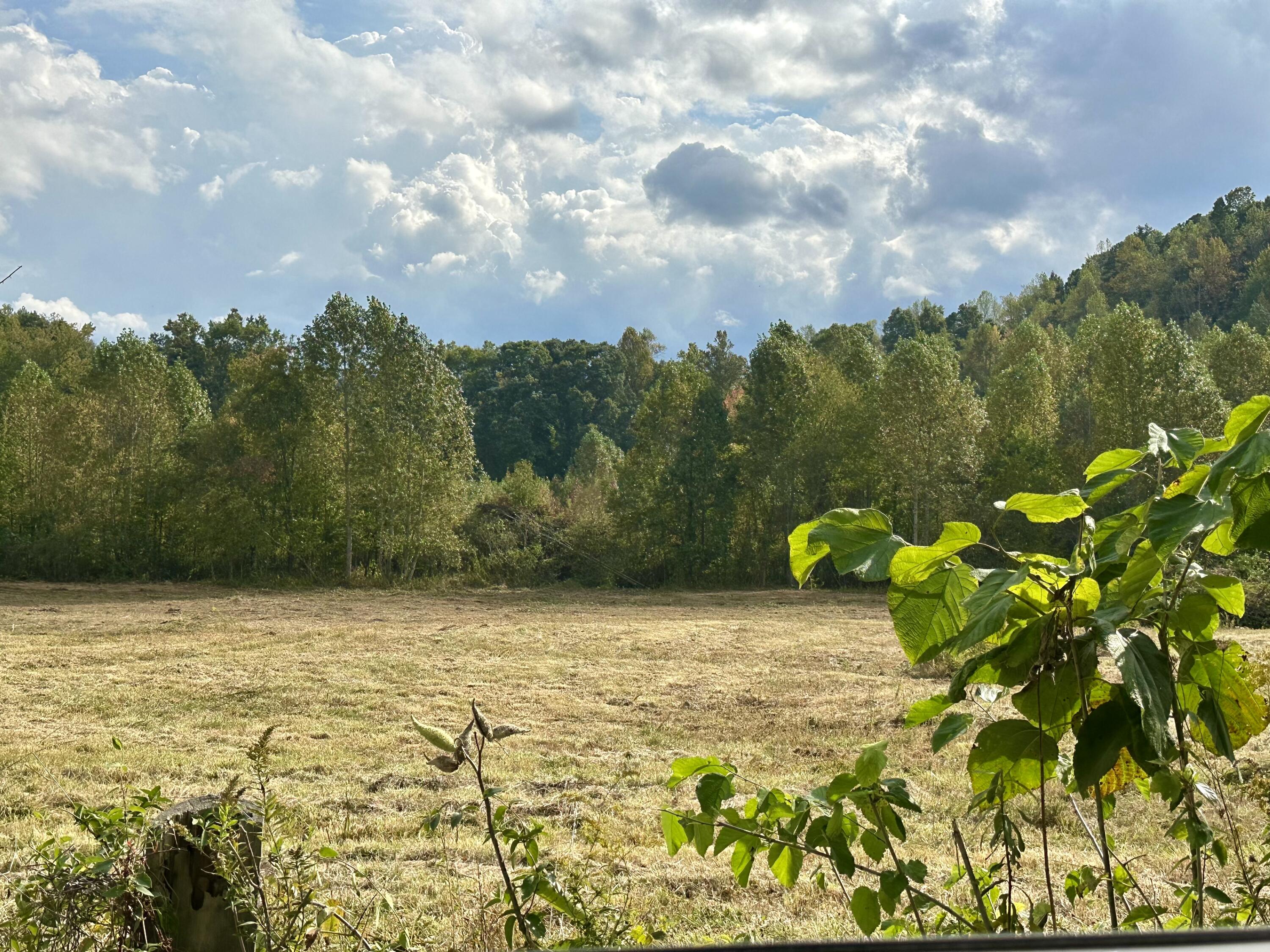 1073 Old Way Road Property Photo 20