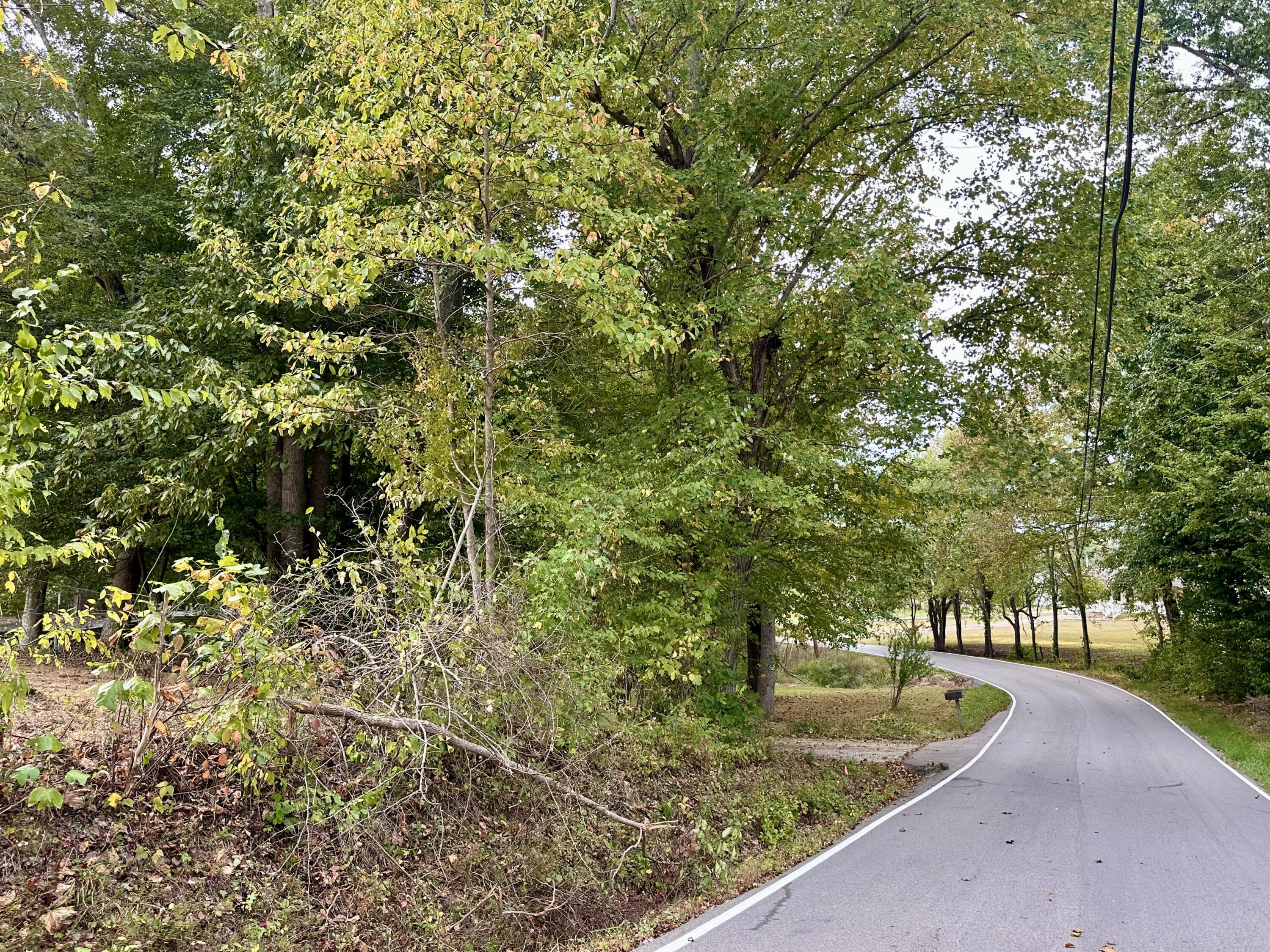 1073 Old Way Road Property Photo 25