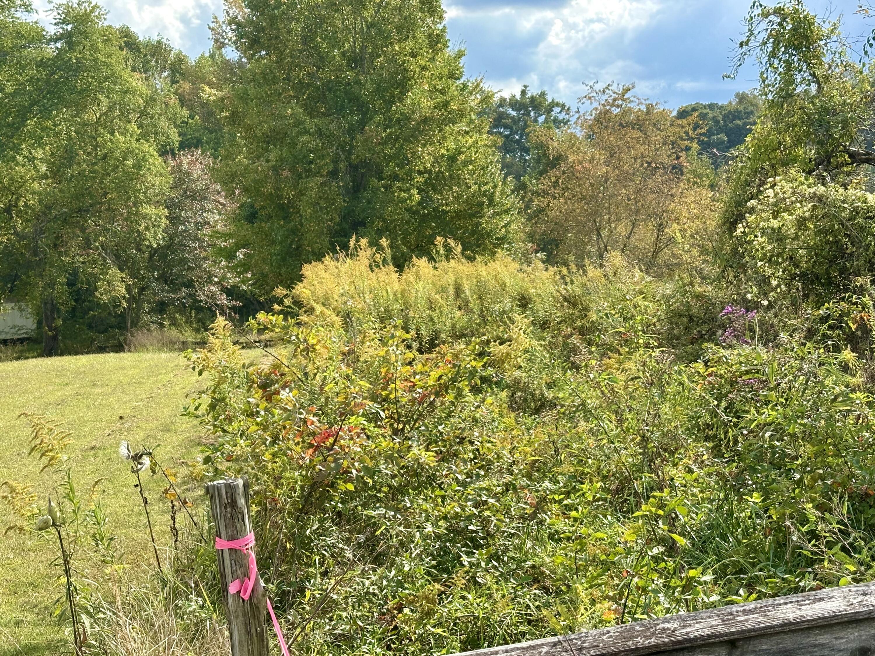1073 Old Way Road Property Photo 28