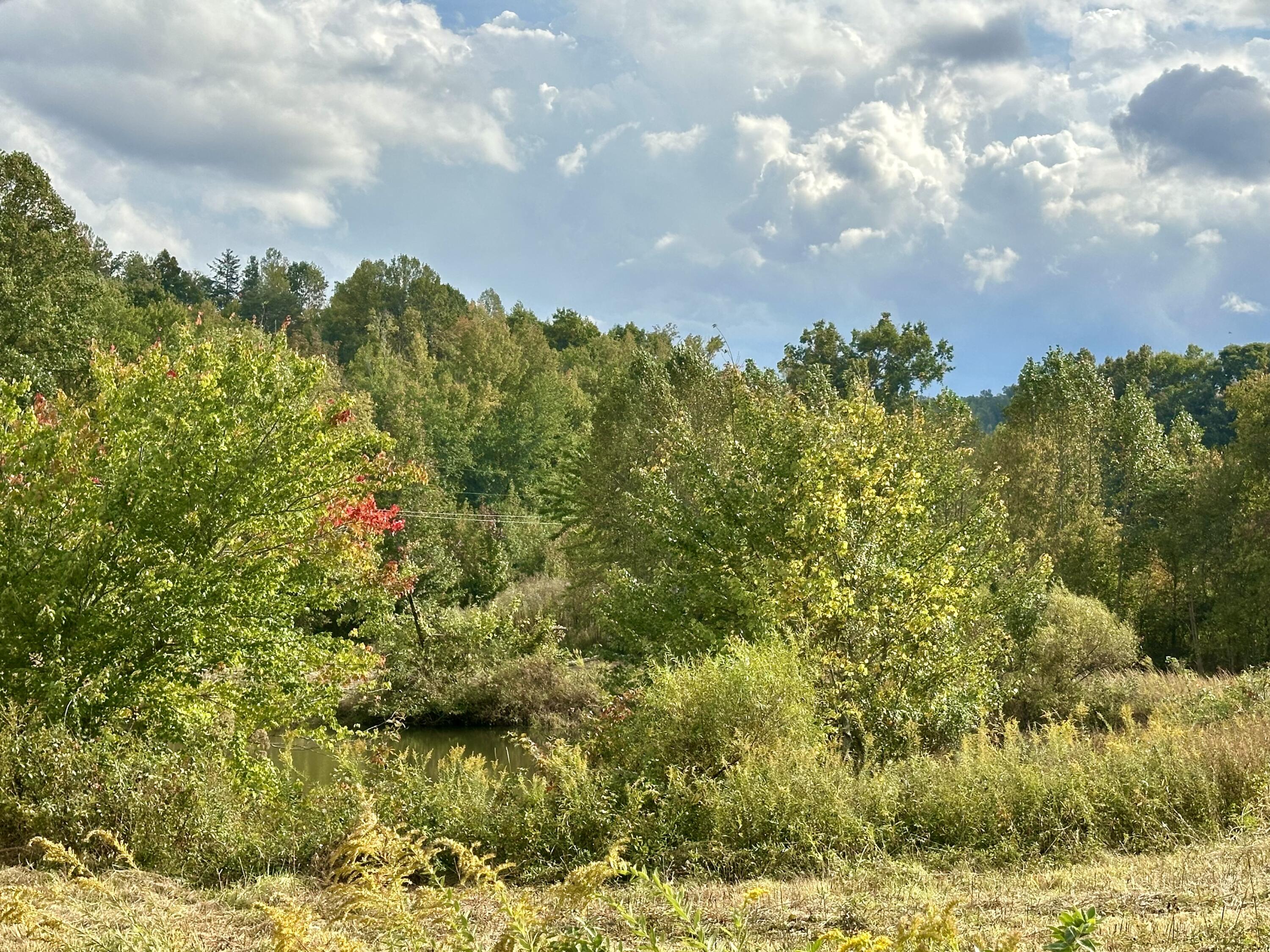 1073 Old Way Road Property Photo 29