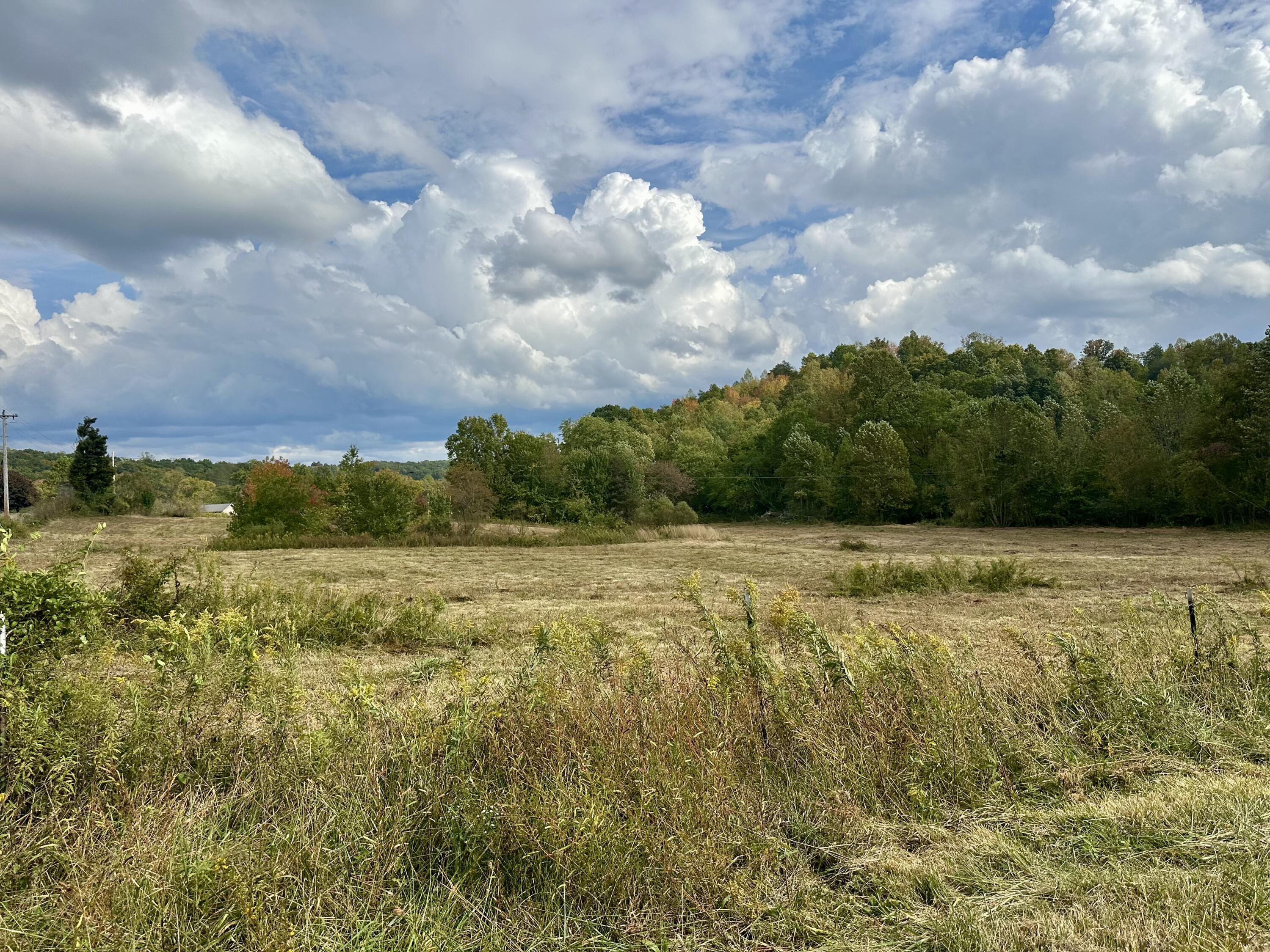1073 Old Way Road Property Photo 34