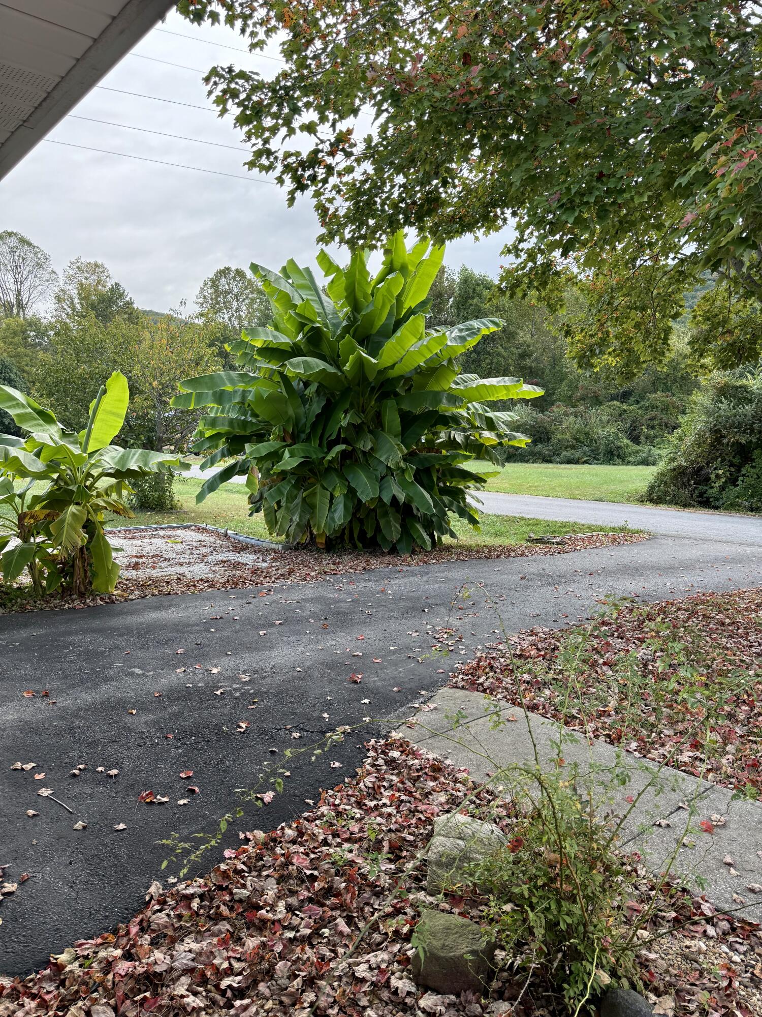 216 Maher Drive Property Photo 19