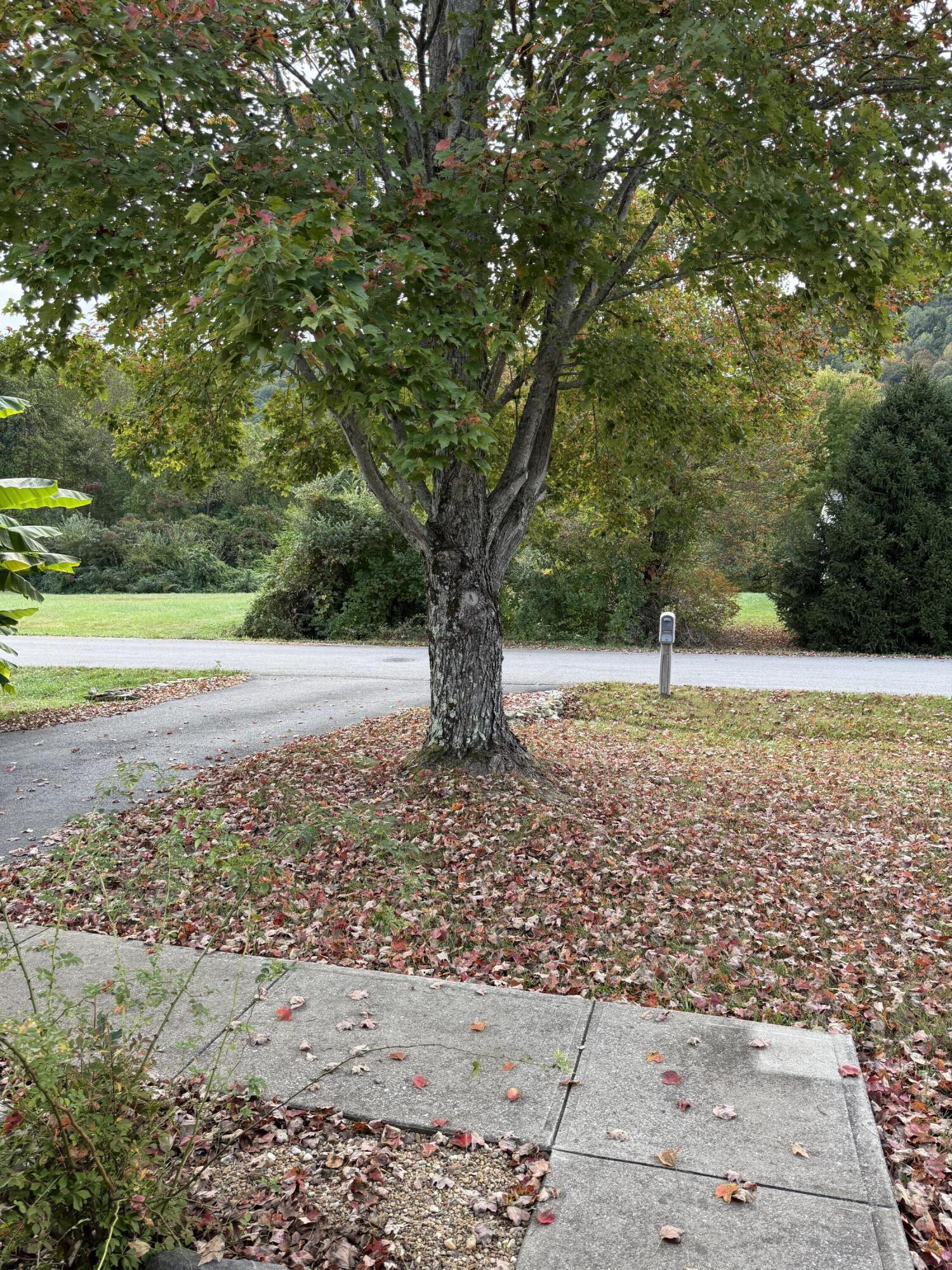 216 Maher Drive Property Photo 20