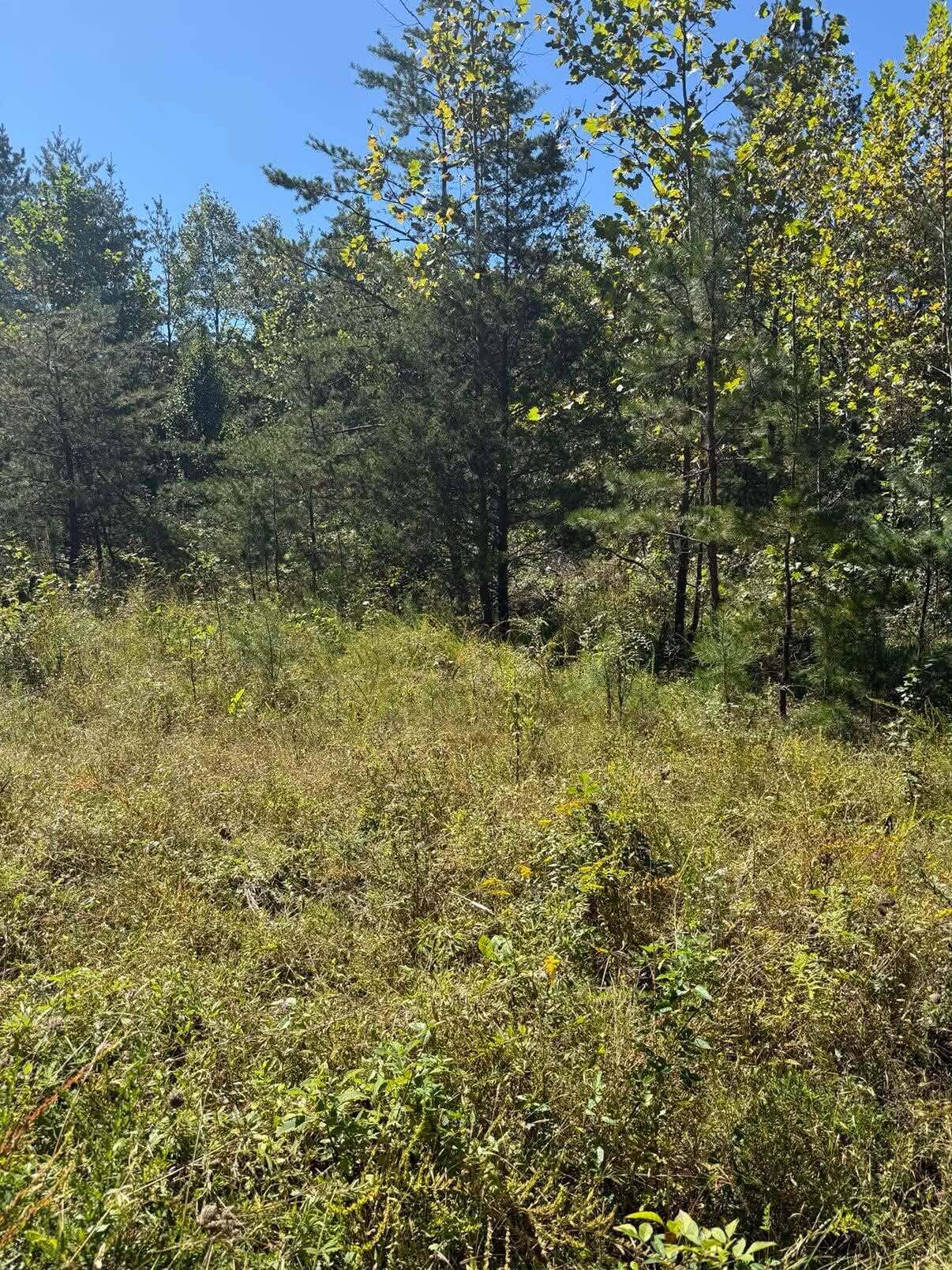 3825 Highway 191 Property Photo 1