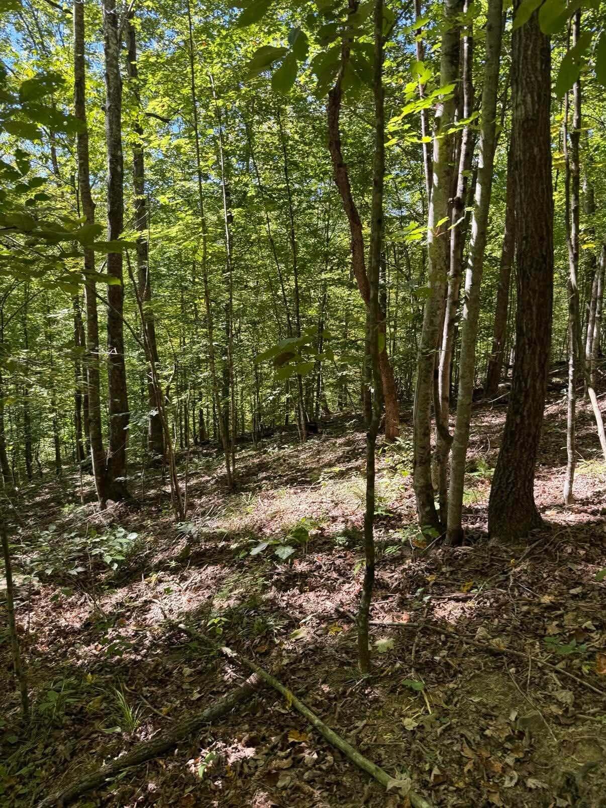 3825 Highway 191 Property Photo 3