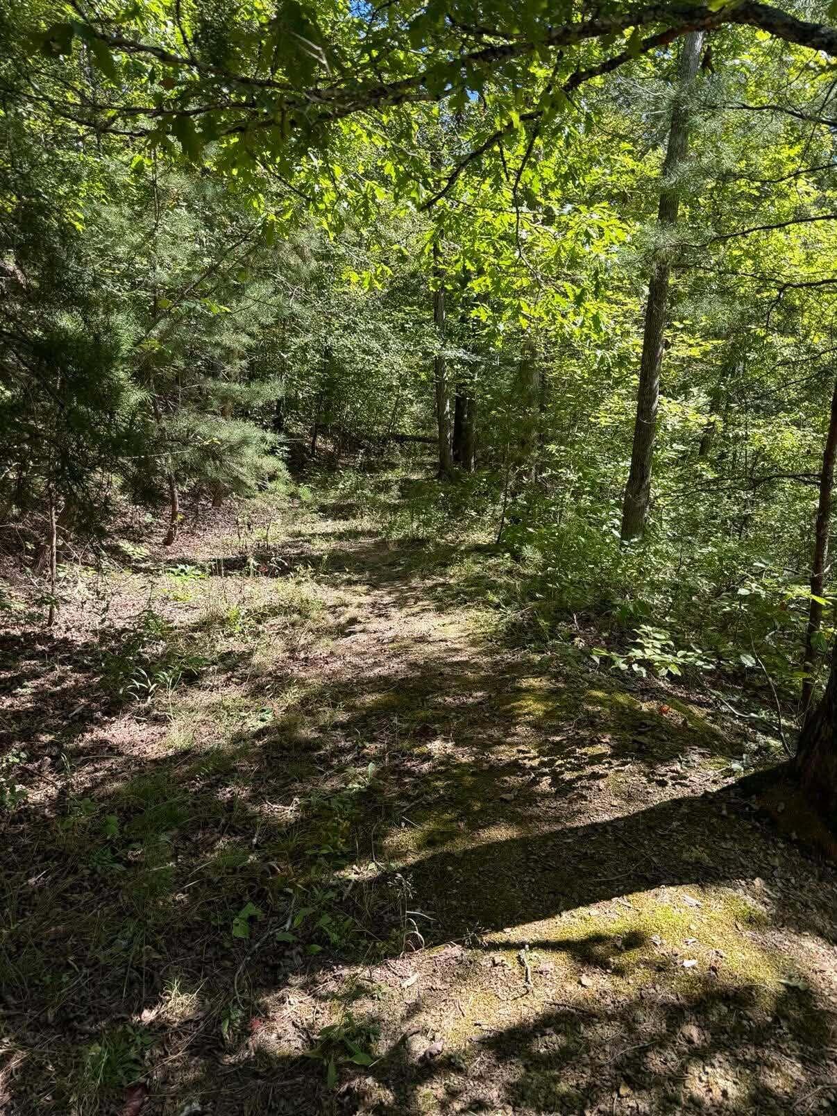 3825 Highway 191 Property Photo 5