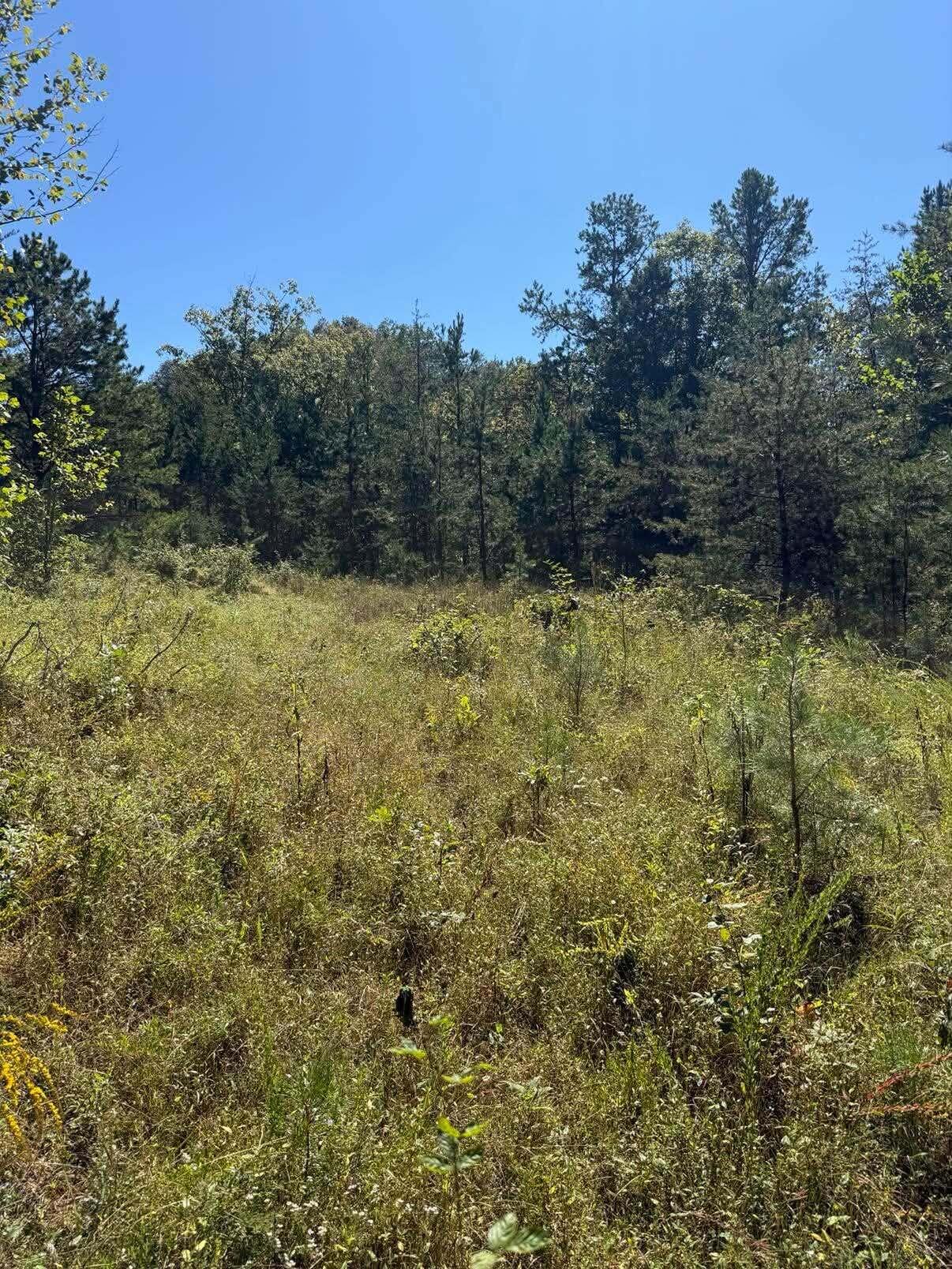 3825 Highway 191 Property Photo 6