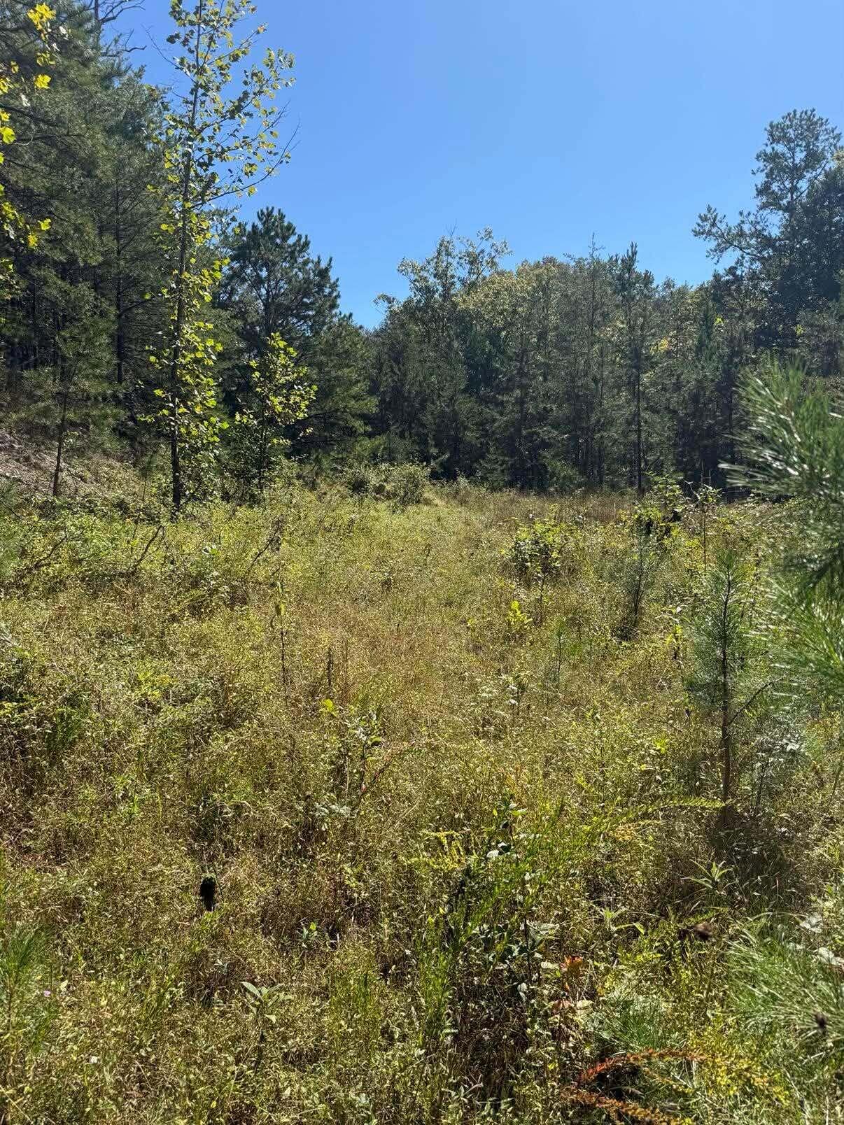 3825 Highway 191 Property Photo 7