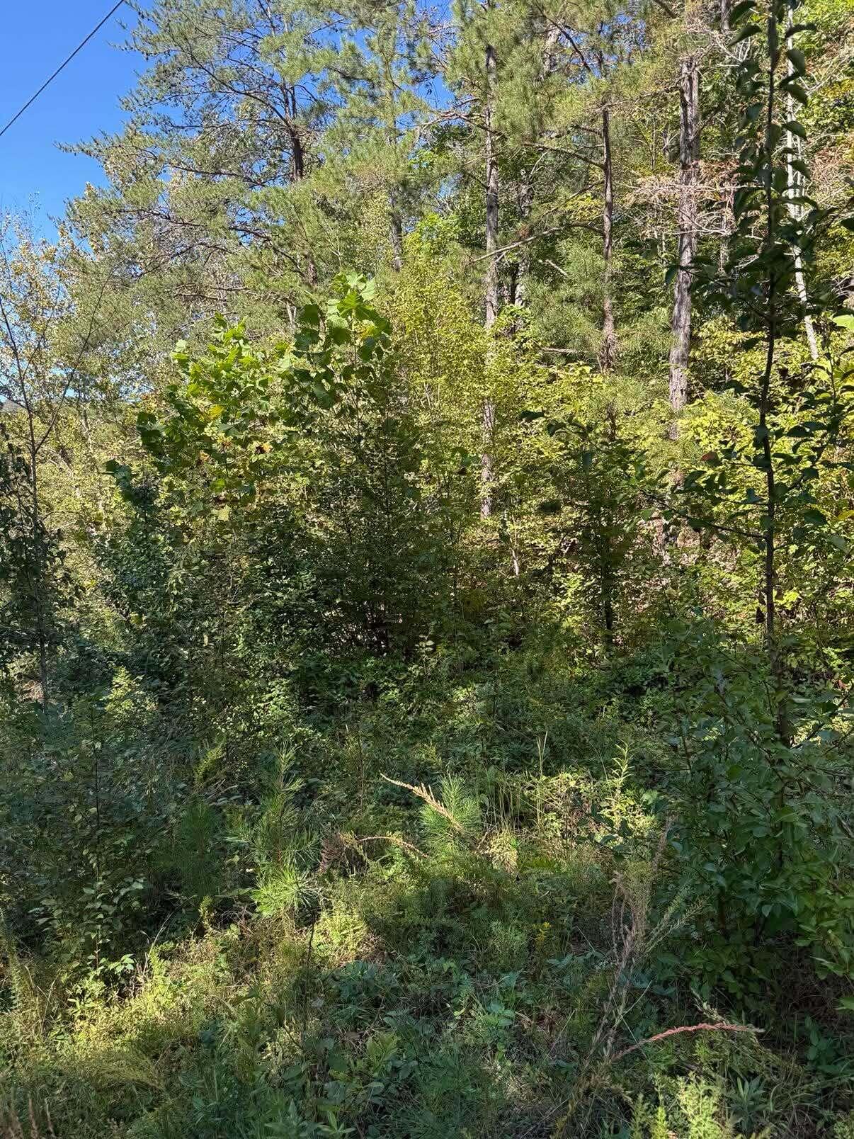 3825 Highway 191 Property Photo 9
