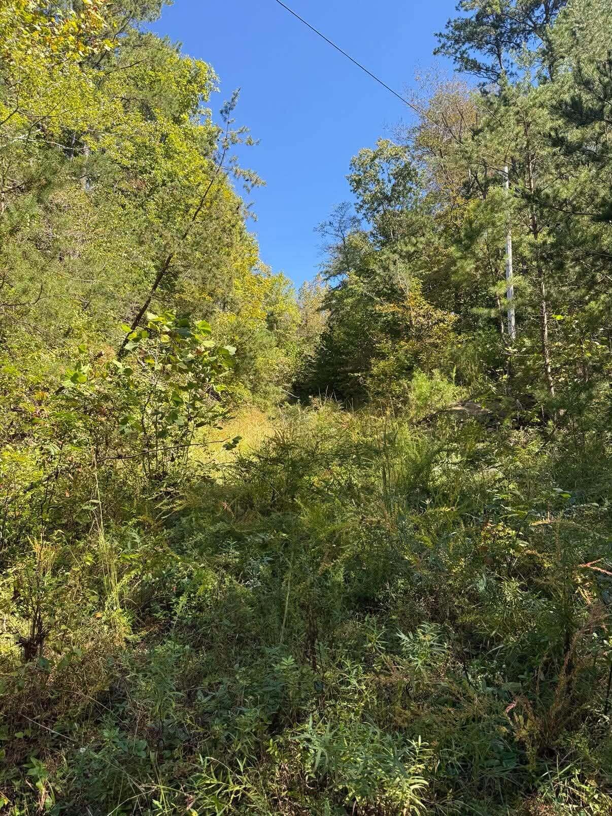 3825 Highway 191 Property Photo 10