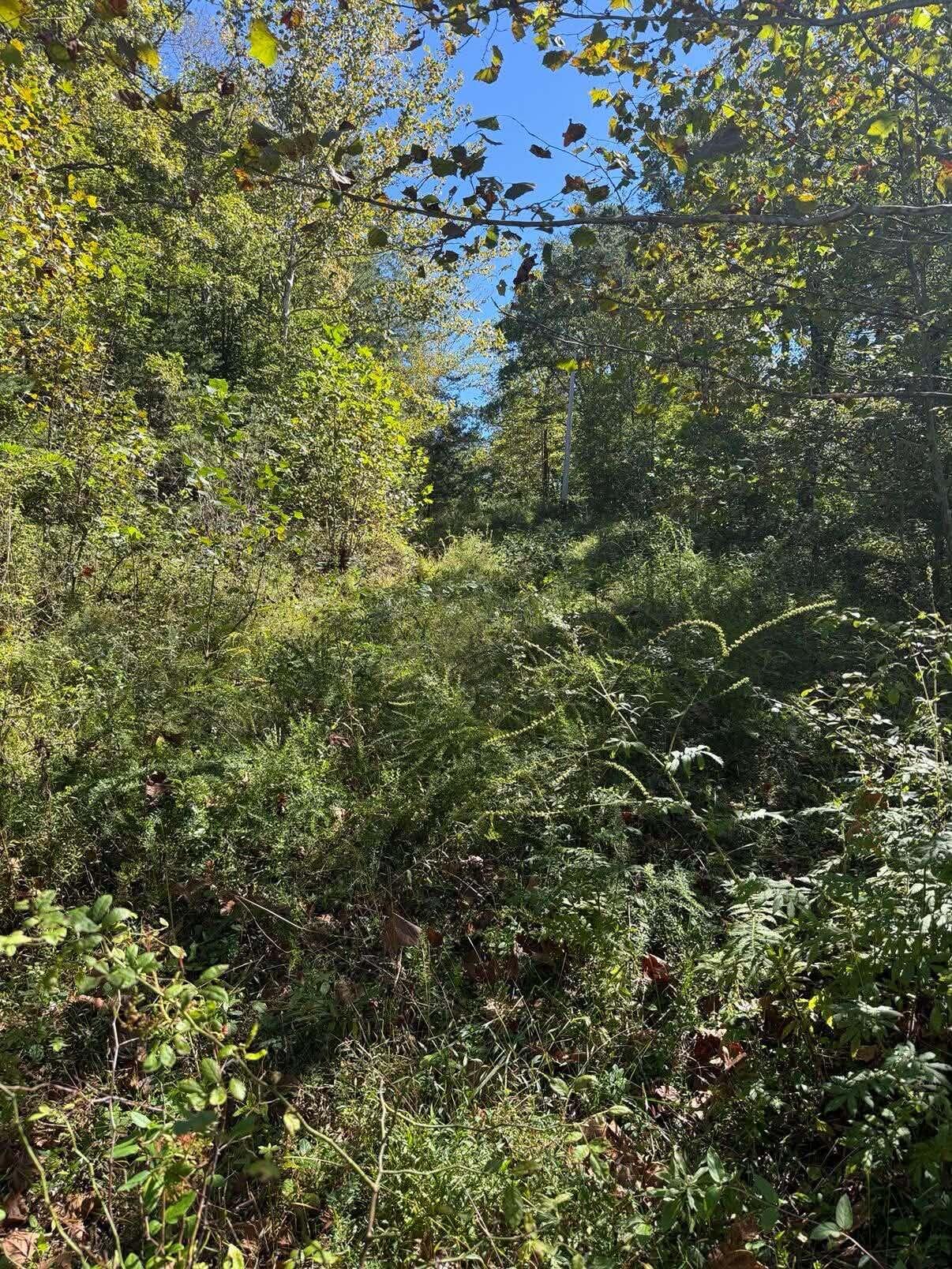 3825 Highway 191 Property Photo 11