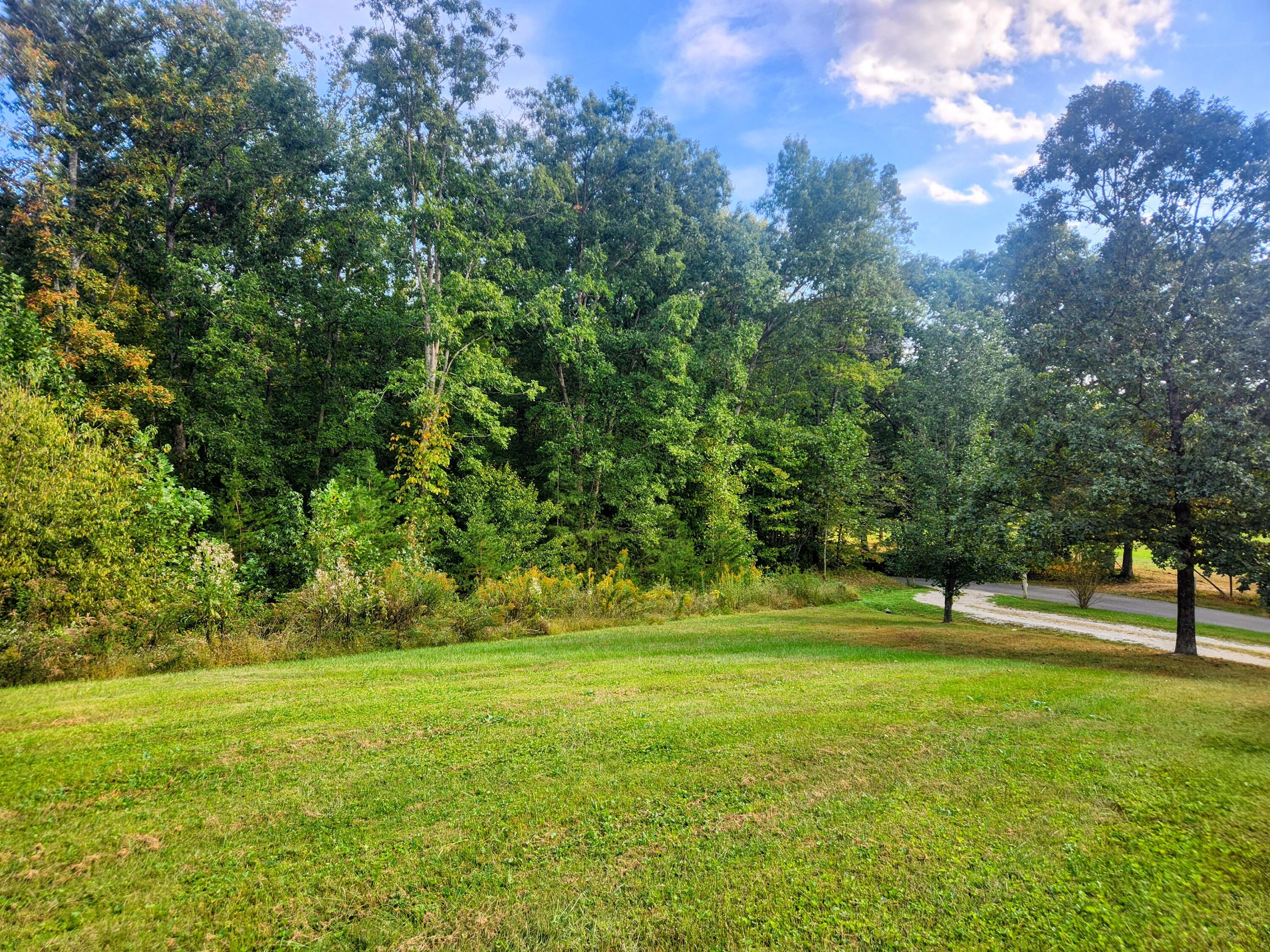 78 Lower Hatcher Creek Road Property Photo 4