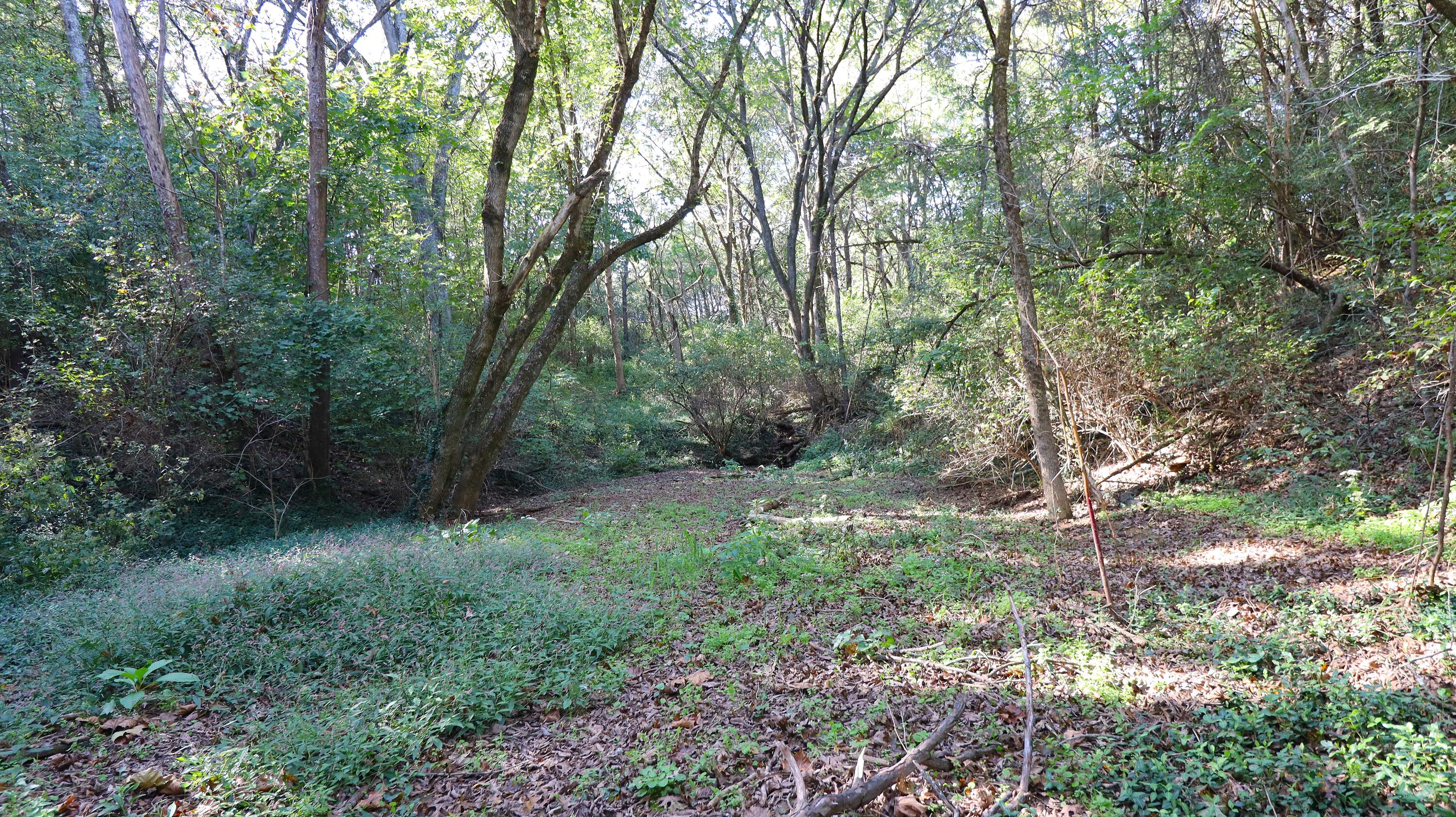 629 Oregon Road Property Photo 38