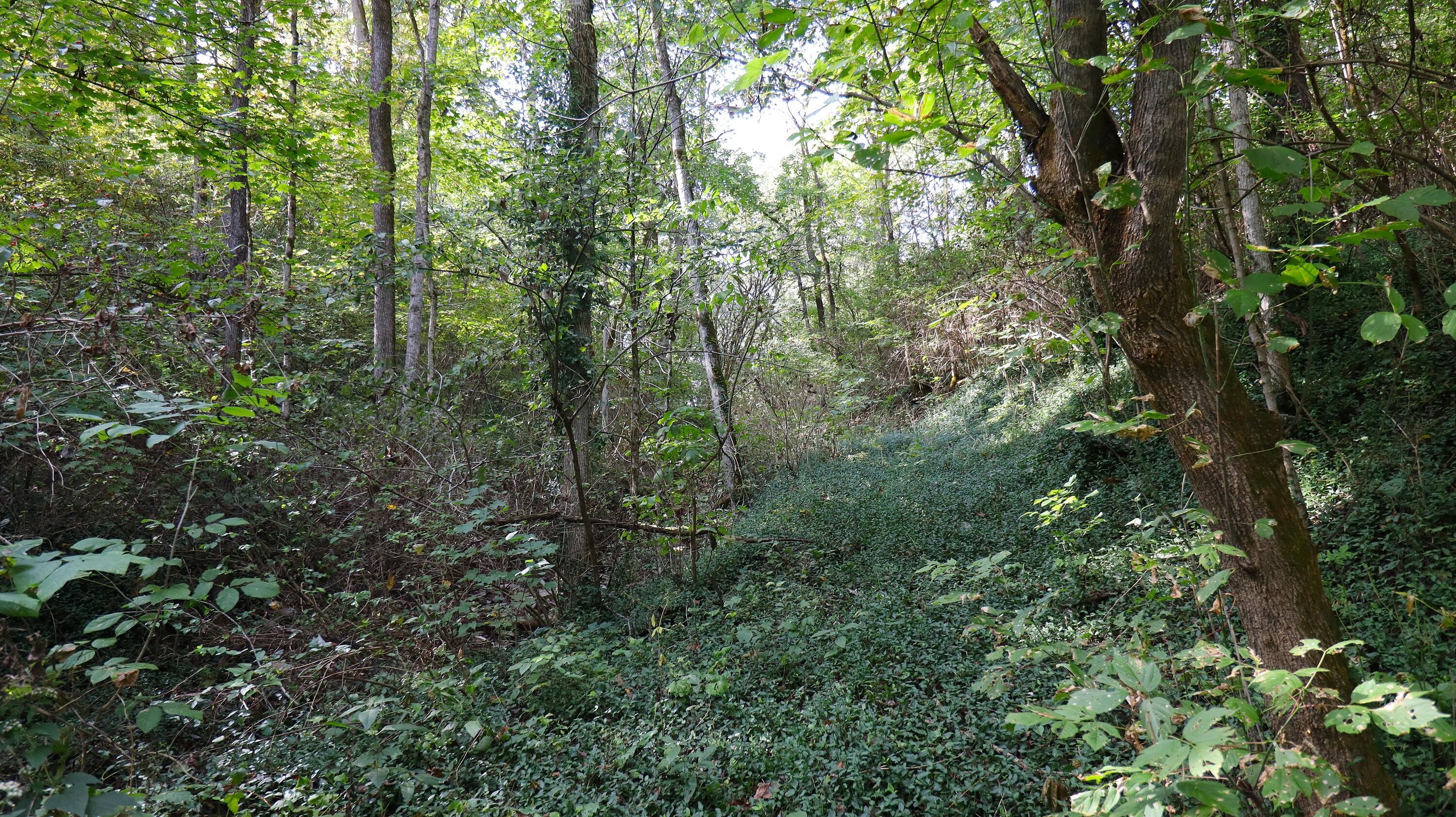 629 Oregon Road Property Photo 40