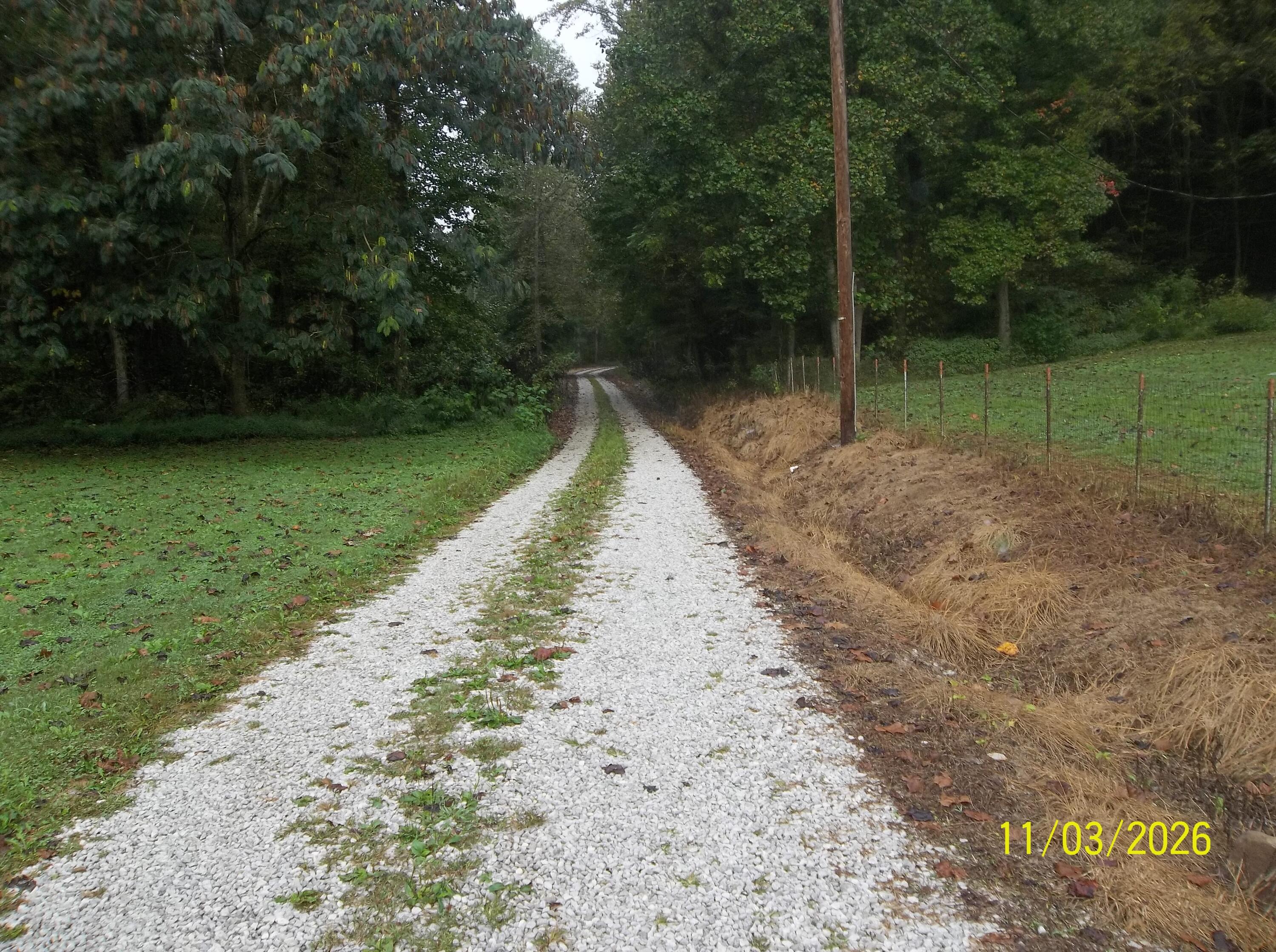 501 Left Fork Moore Creek Road Property Photo 3