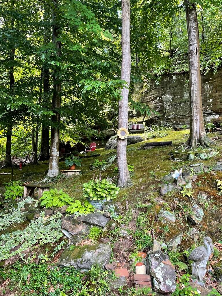 247 Shady Cliff Road Property Photo 25