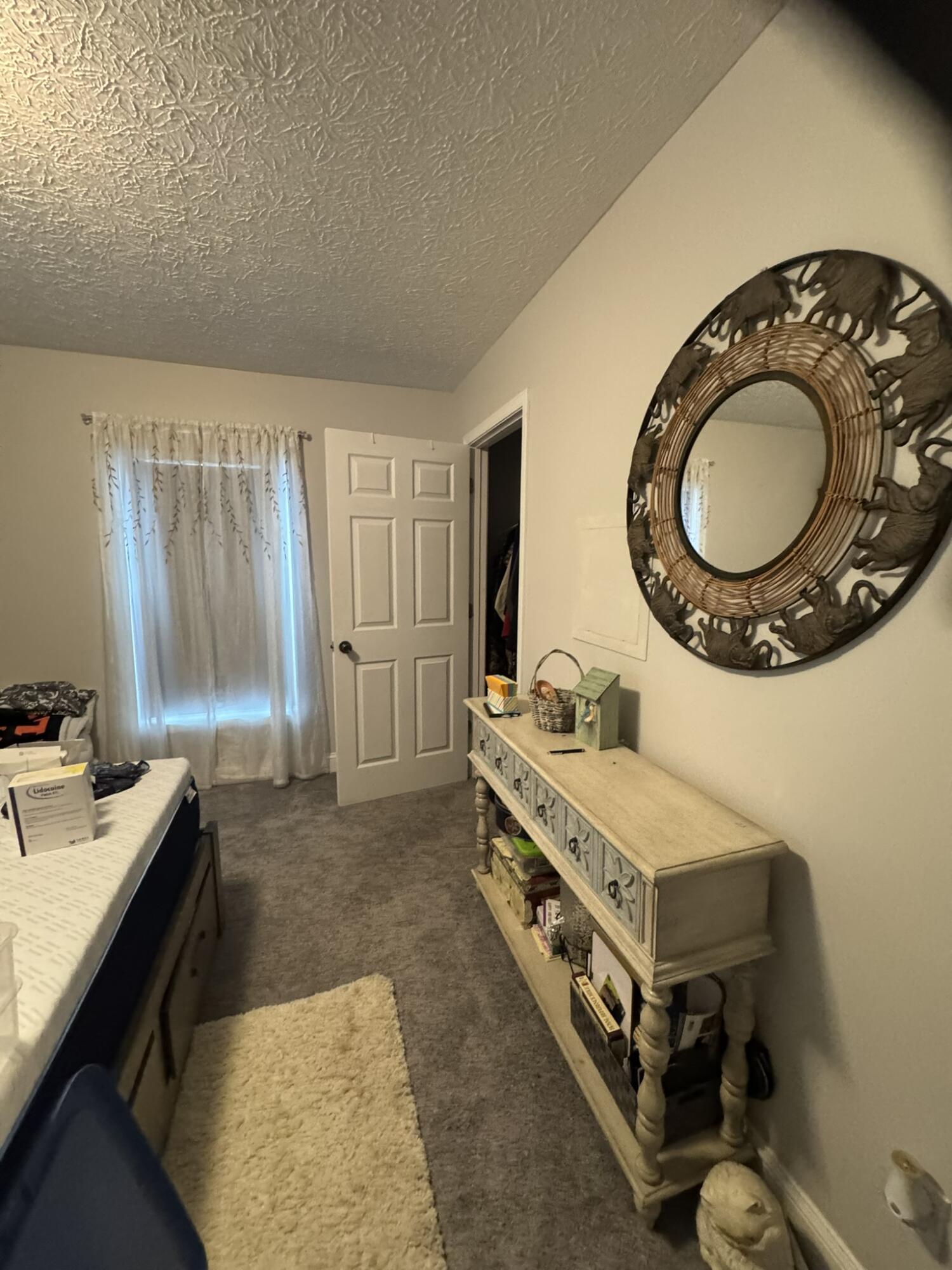 99 Tree Top Lane Property Photo 19