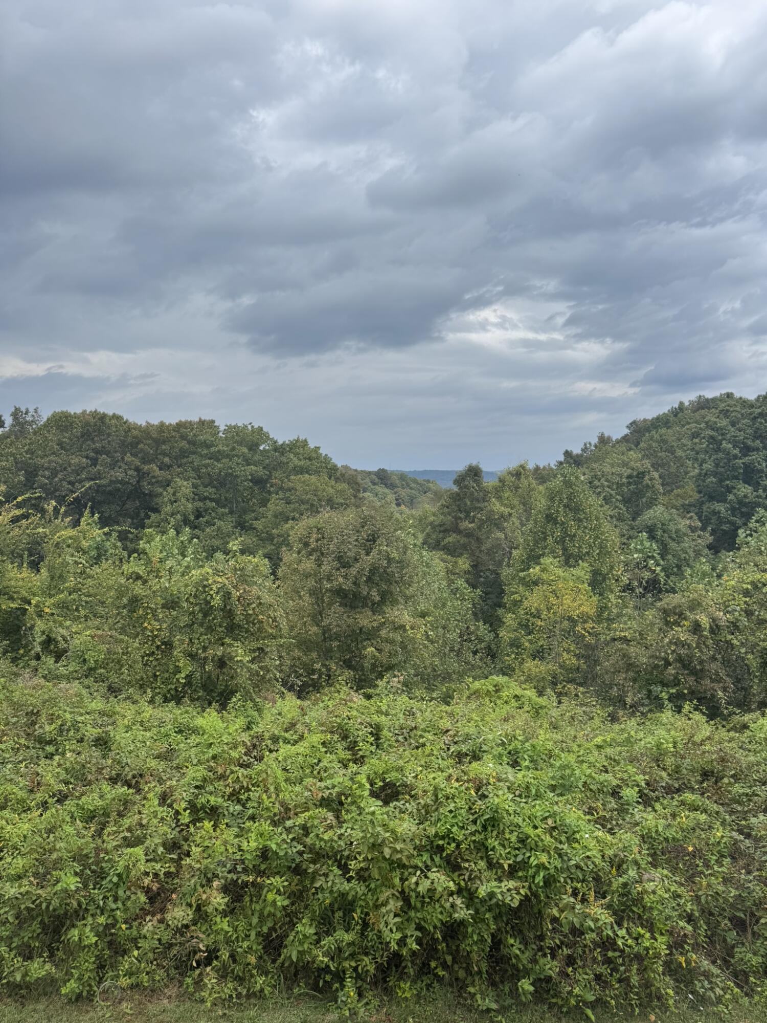 99 Tree Top Lane Property Photo 29