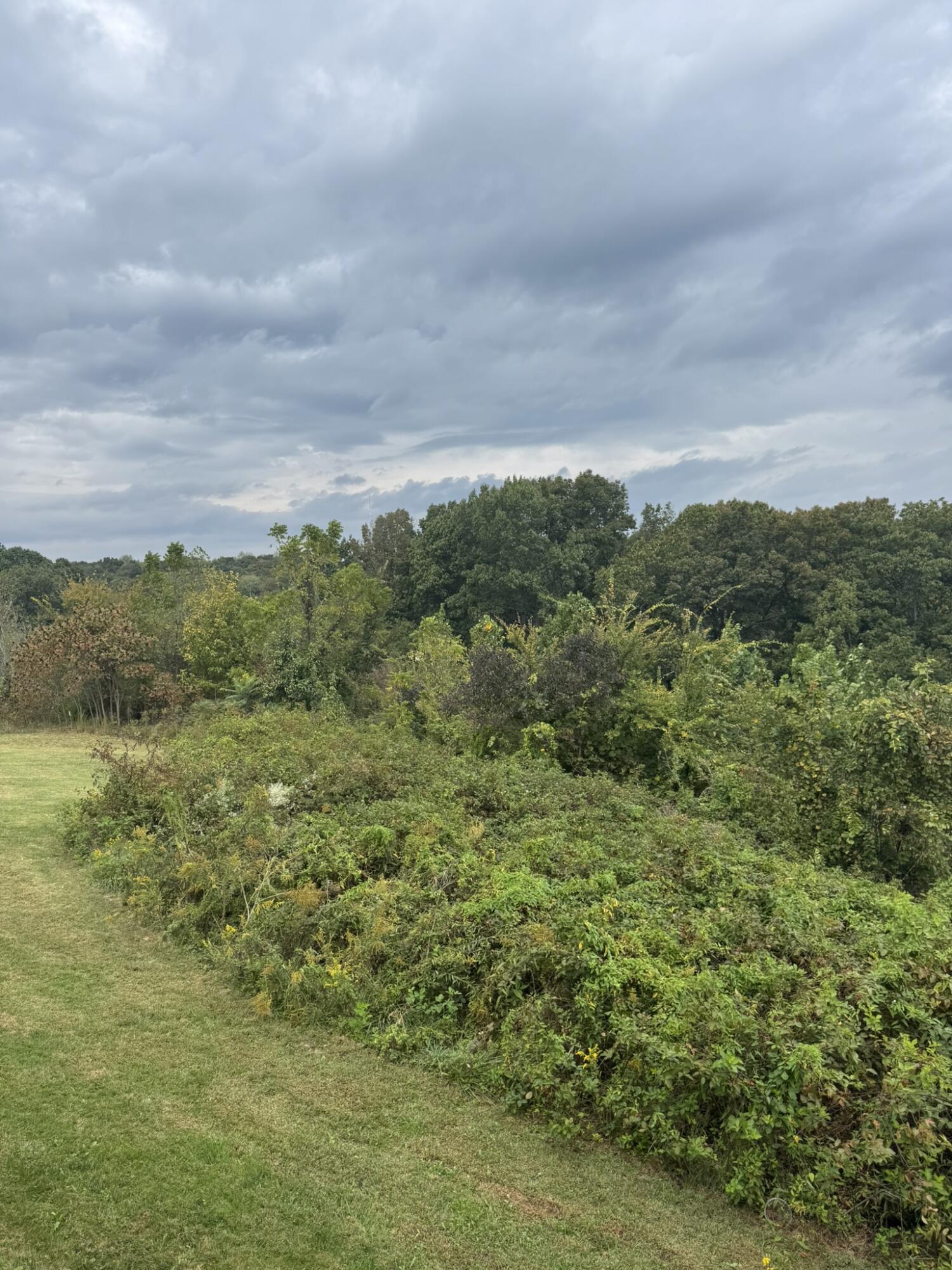 99 Tree Top Lane Property Photo 30