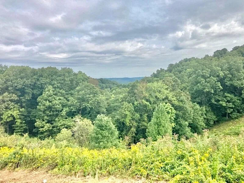 99 Tree Top Lane Property Photo 35