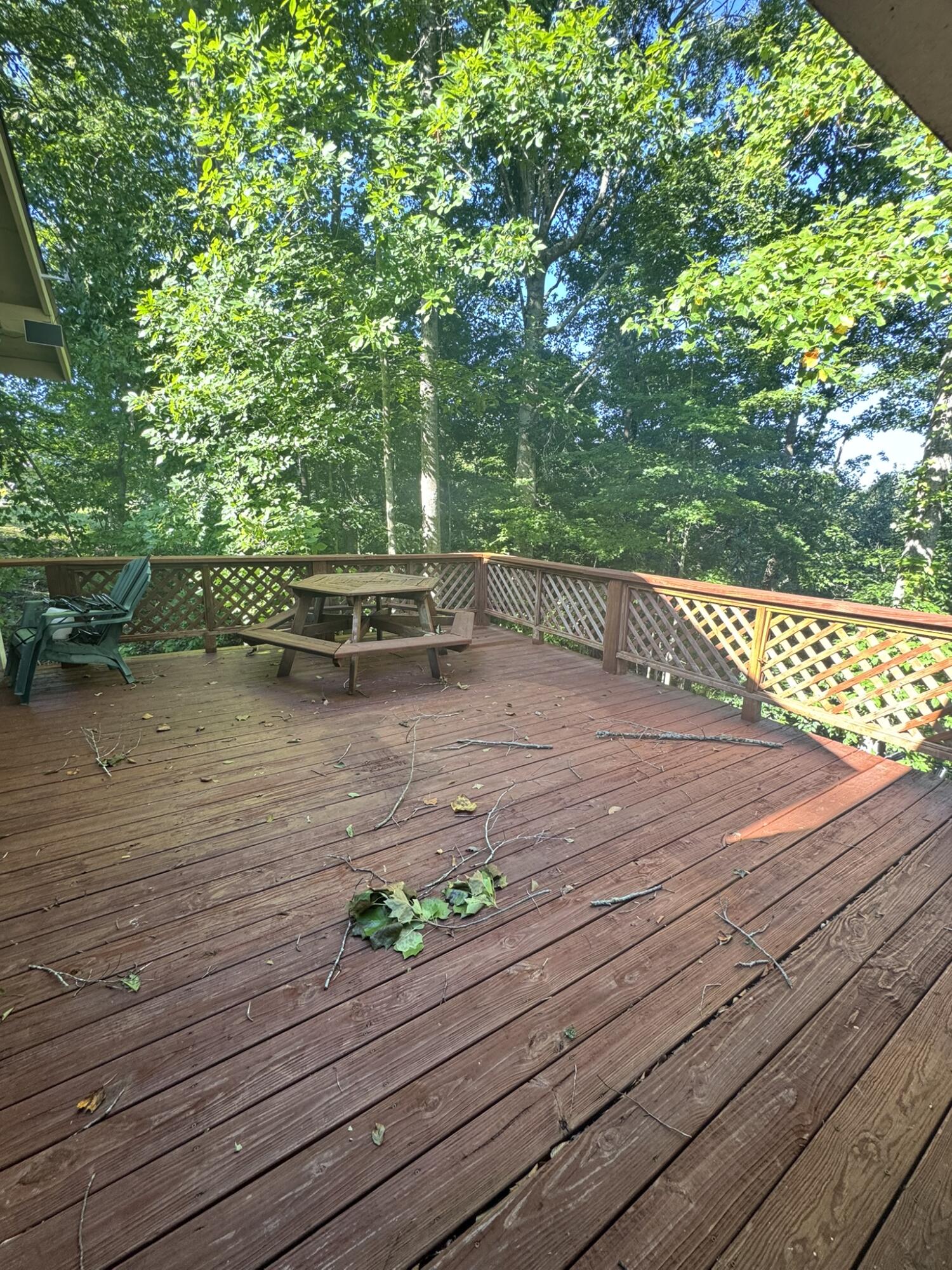 184 Beachamp Road Property Photo 21