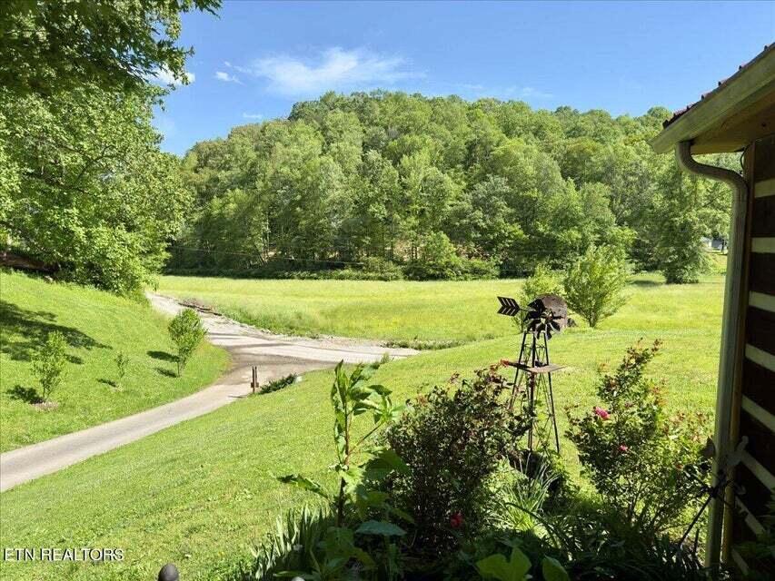 180 Stevens Branch Road Property Photo 8