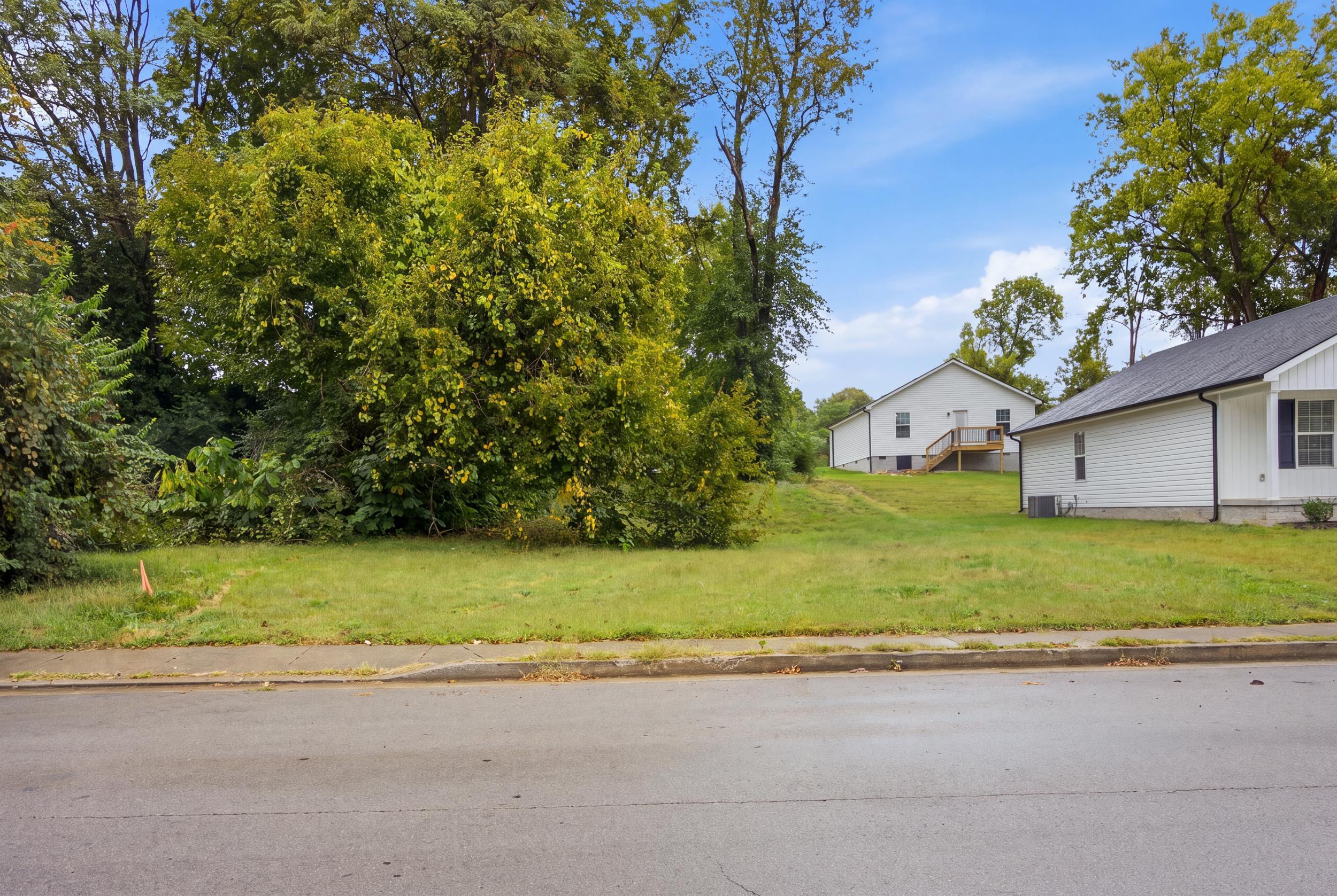1117 Race Street Property Photo 1