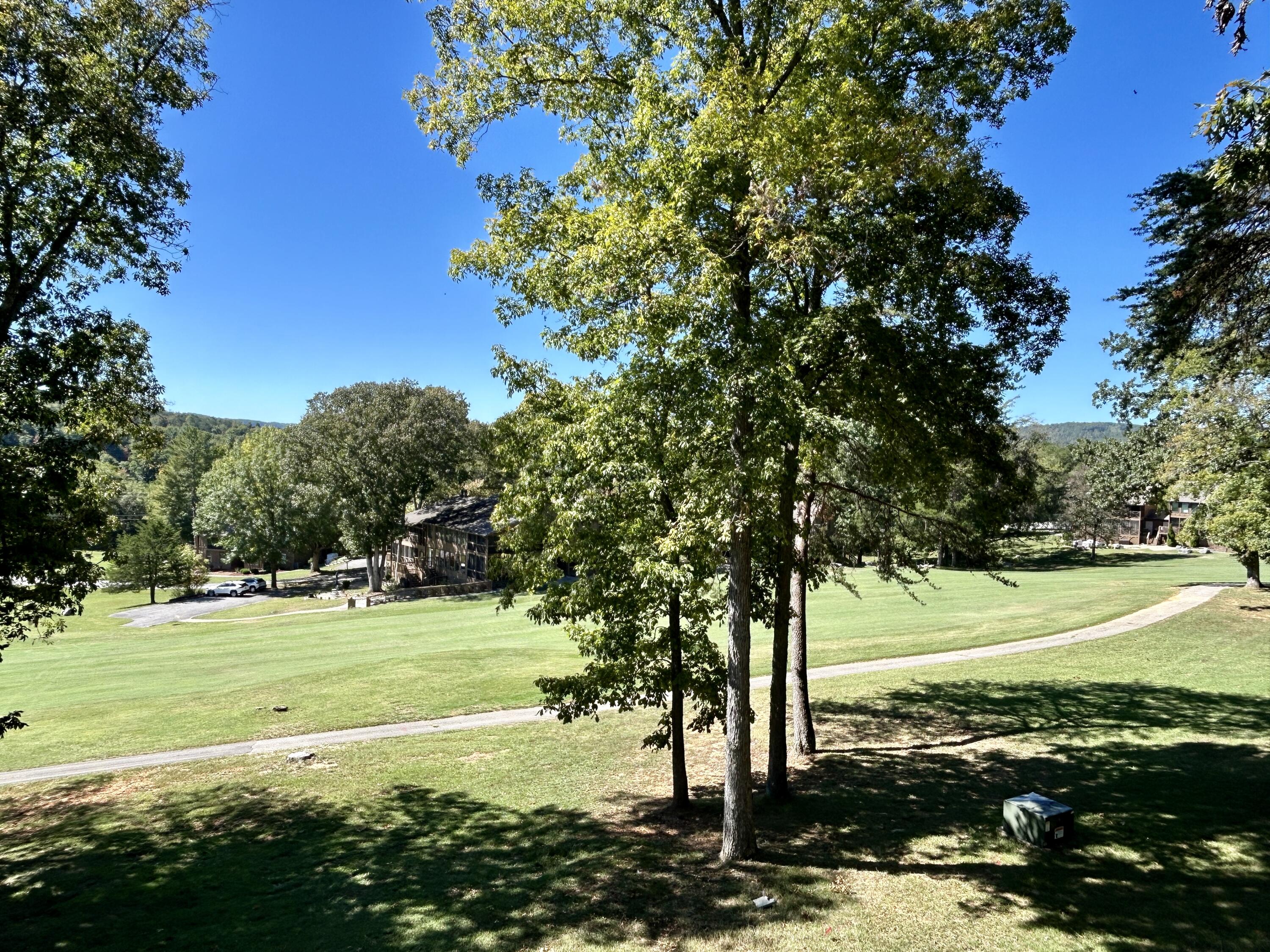 29-3 Woodson Bend Resort Property Photo 8