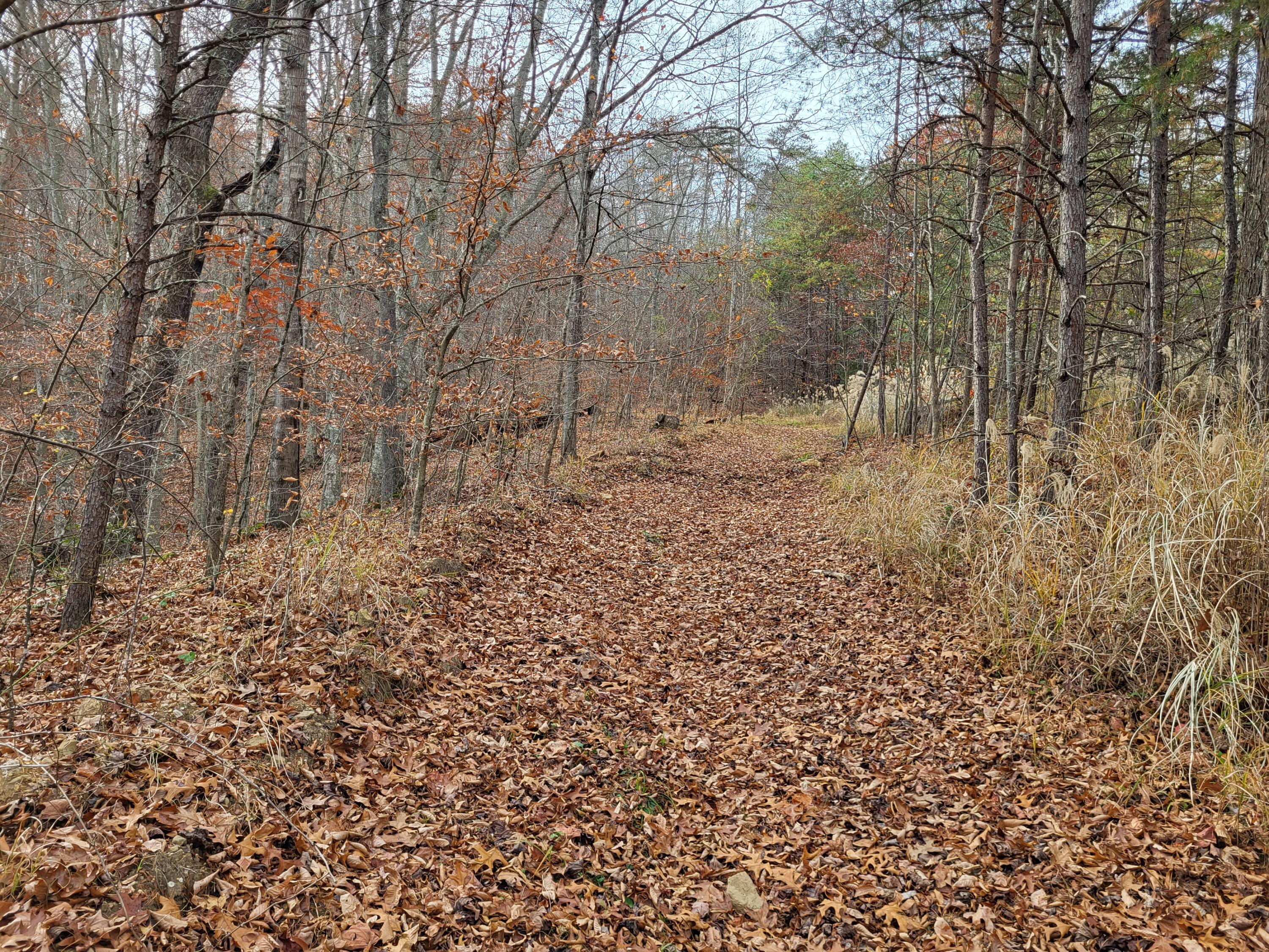 213 Ky-1232 Highway Property Photo 21