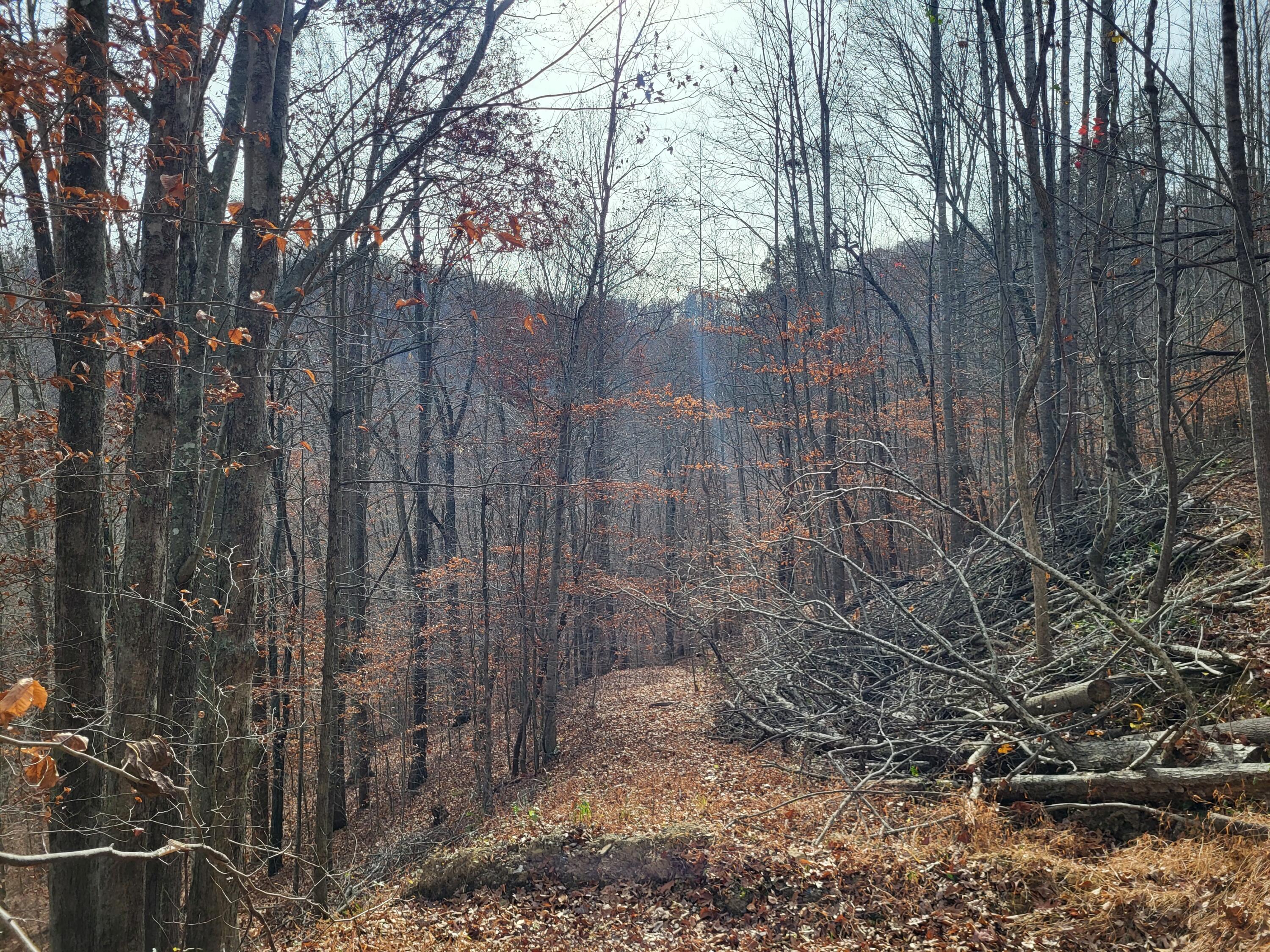 213 Ky-1232 Highway Property Photo 24