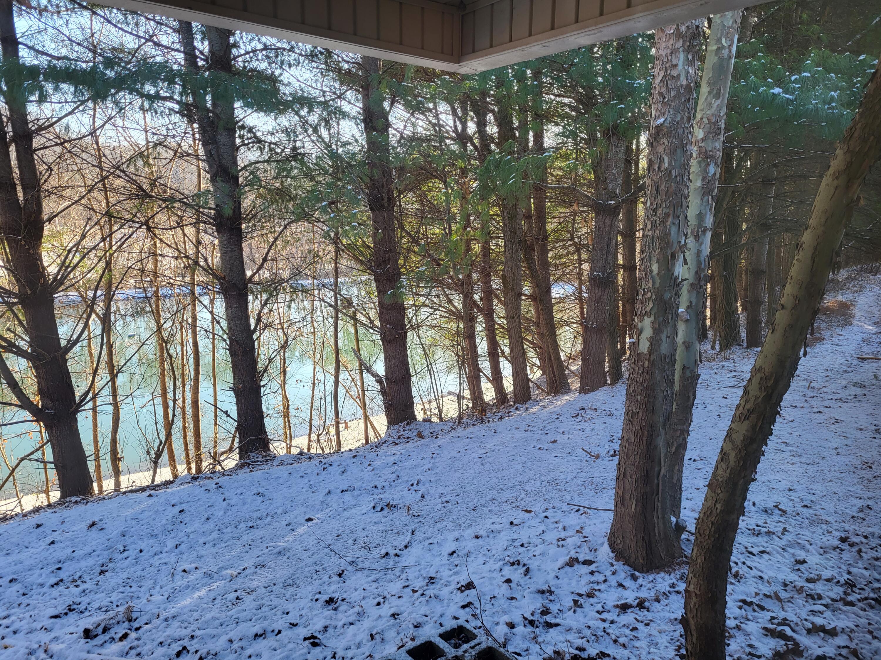 213 Ky-1232 Highway Property Photo 27