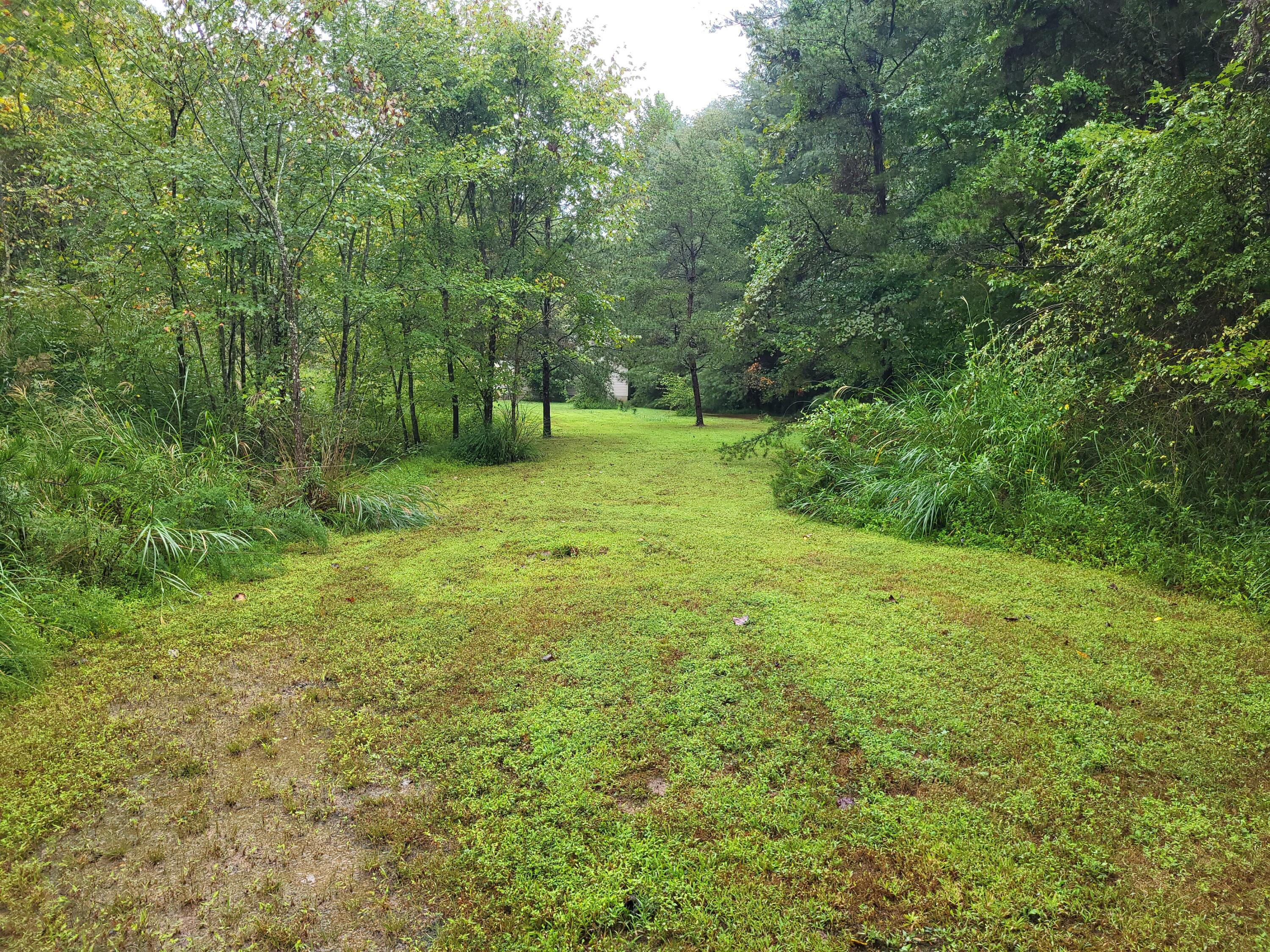 213 Ky-1232 Highway Property Photo 59