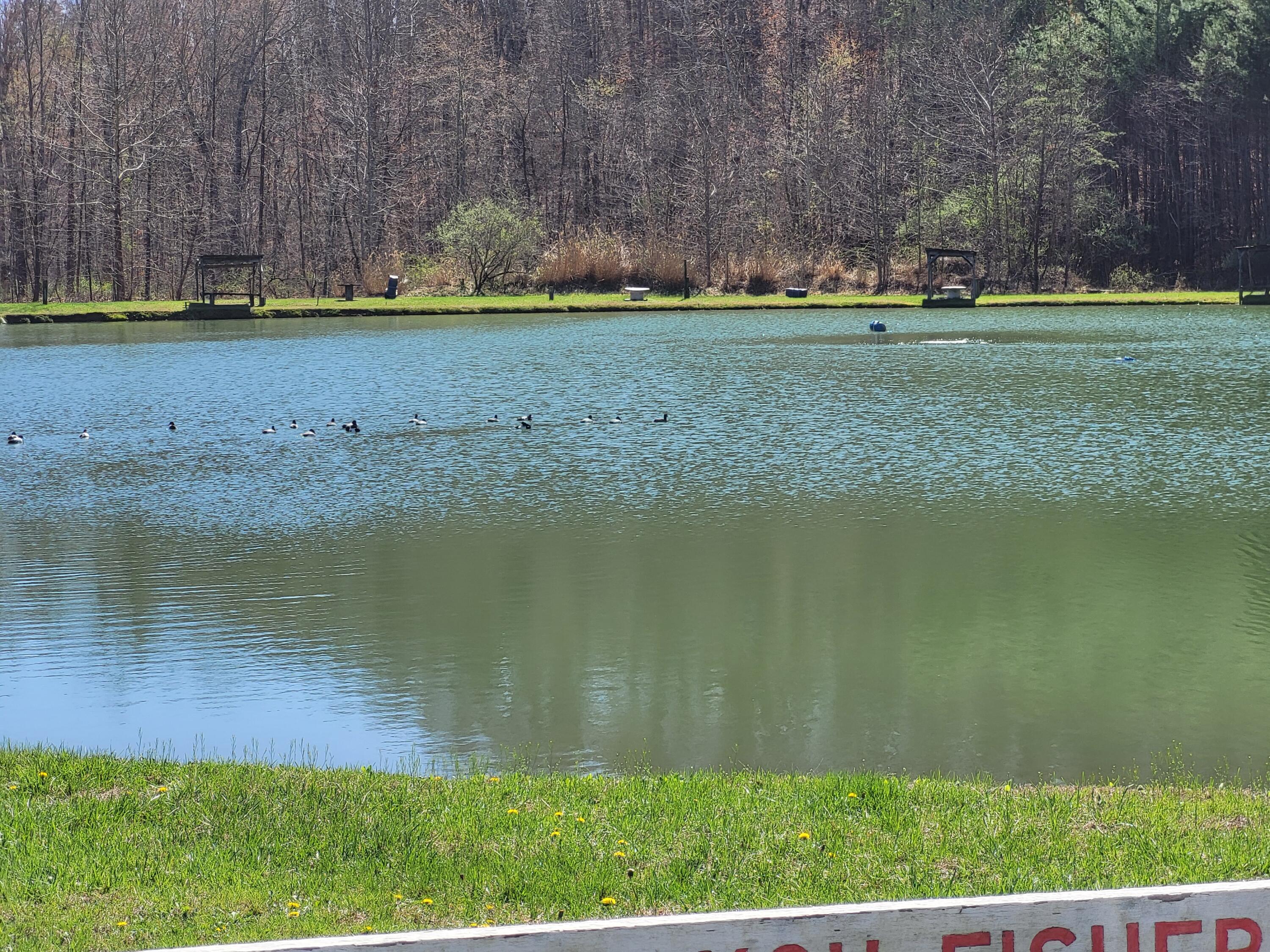 213 Ky-1232 Highway Property Photo 64
