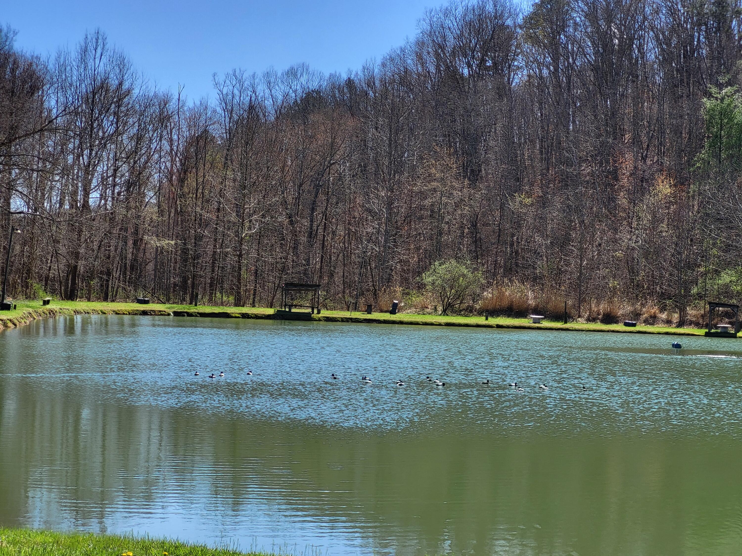 213 Ky-1232 Highway Property Photo 65