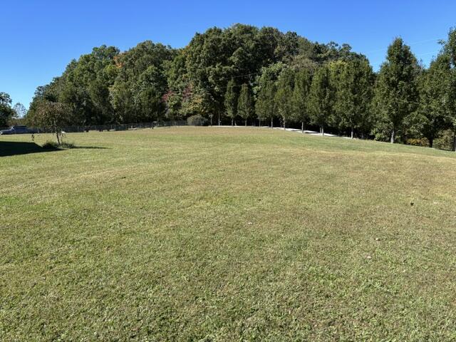 315 Keisha Vickers Road Property Photo 4