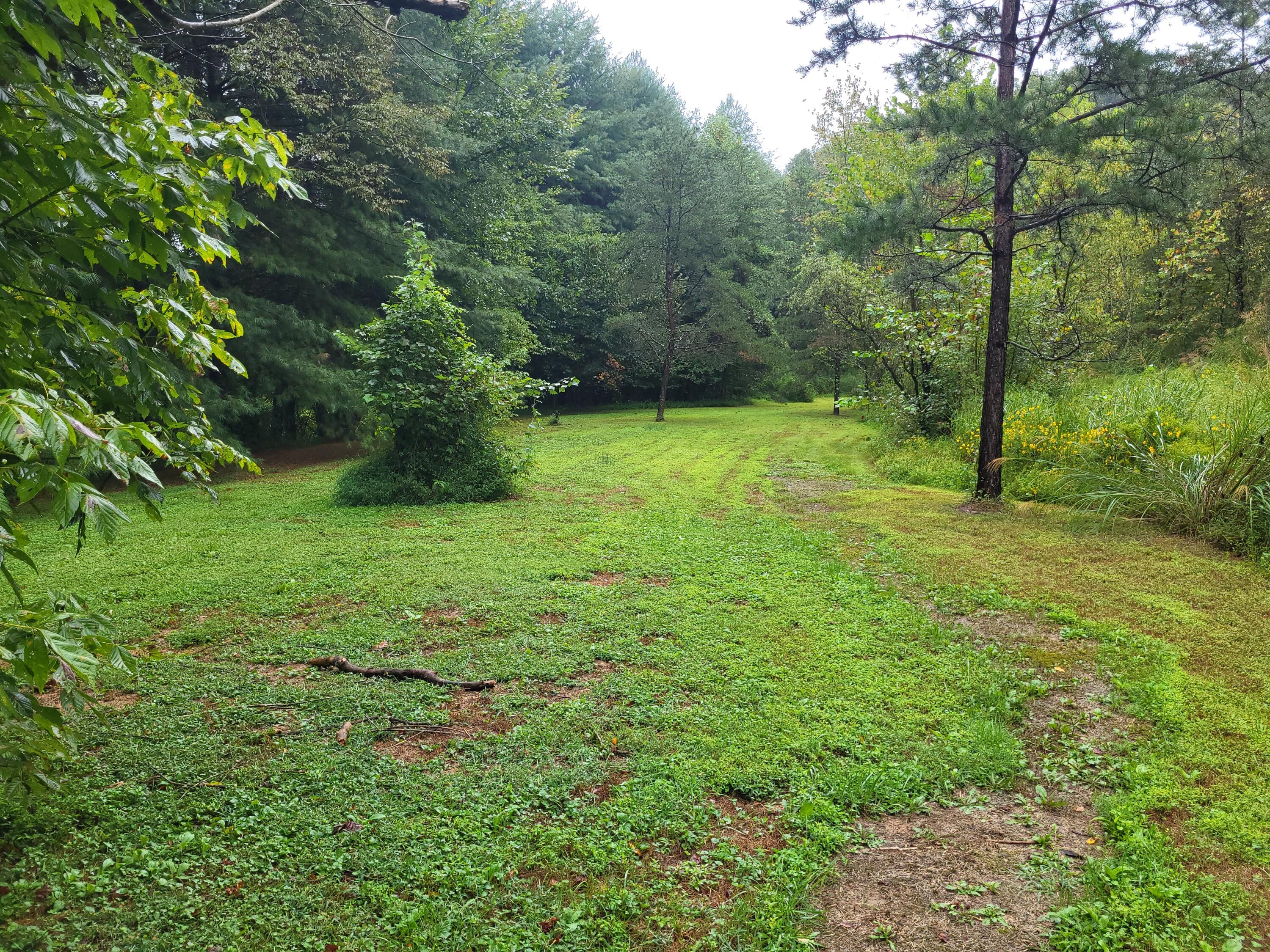 213 Ky-1232 Highway Property Photo 60