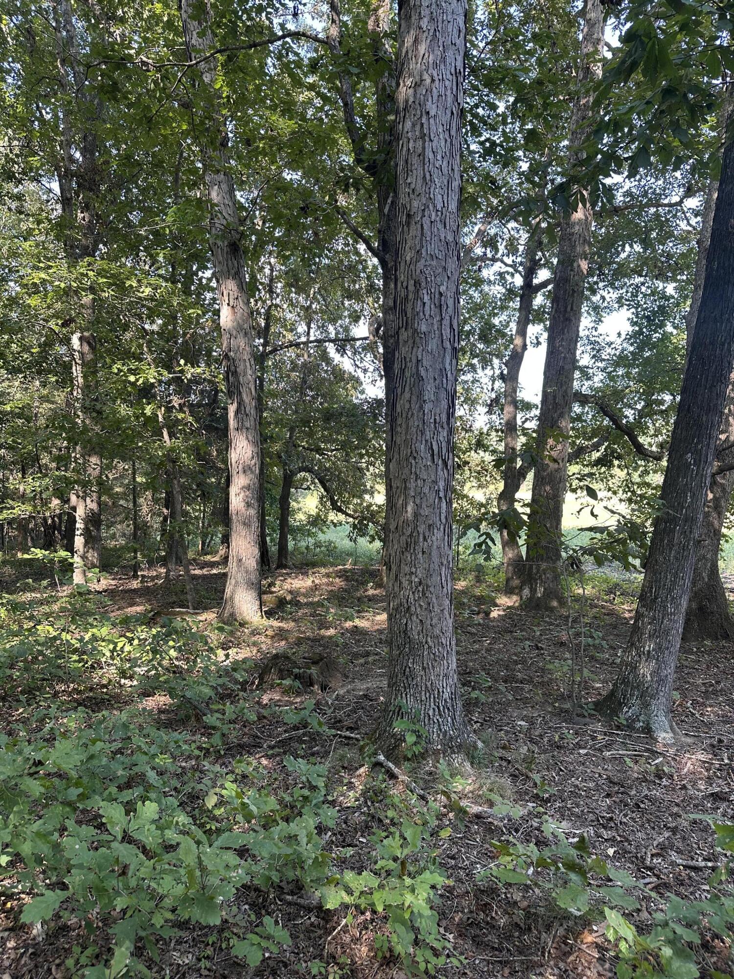 0 Perkins Road Property Photo 3