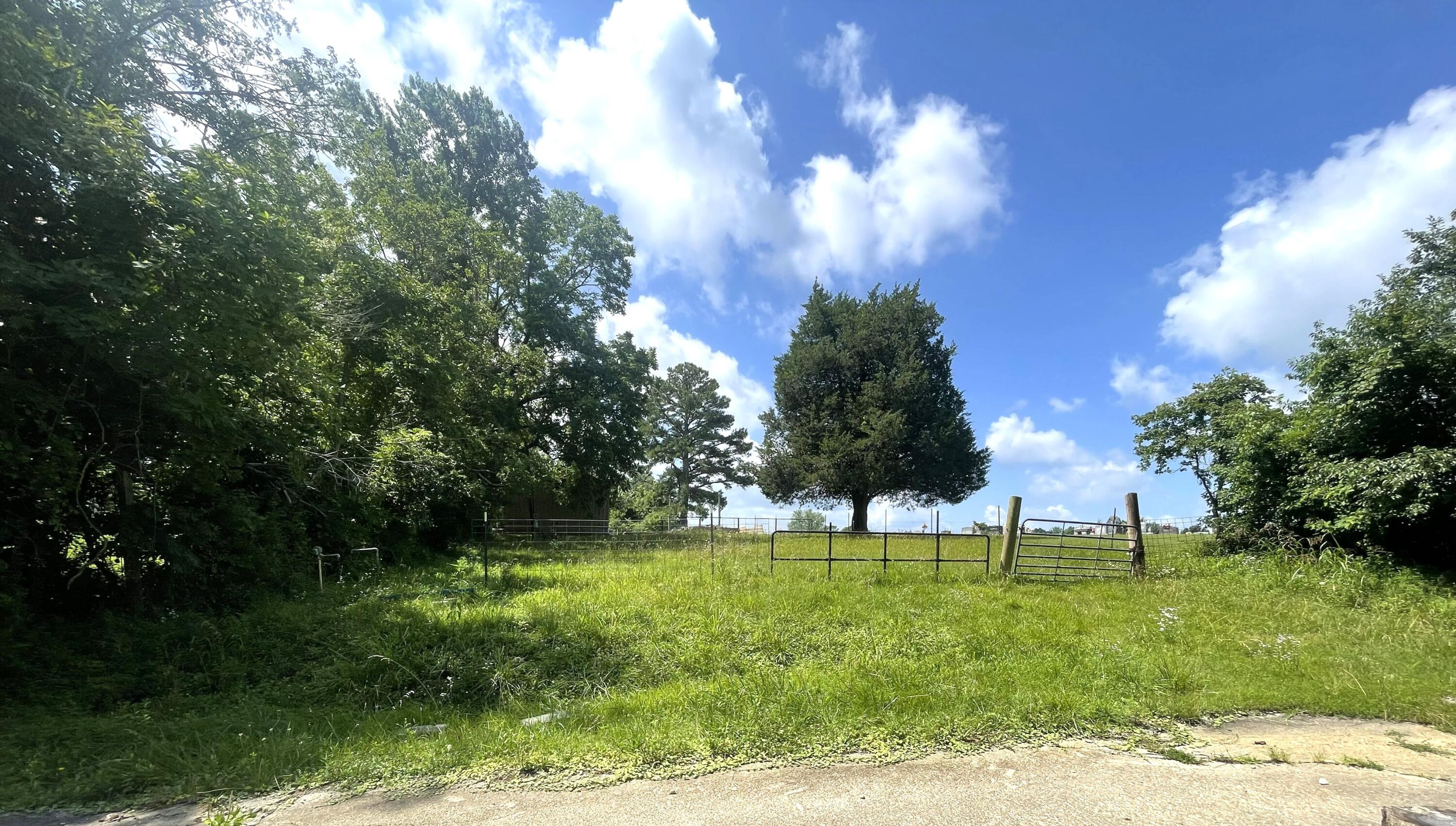 714 Crittenden Drive Property Photo 39