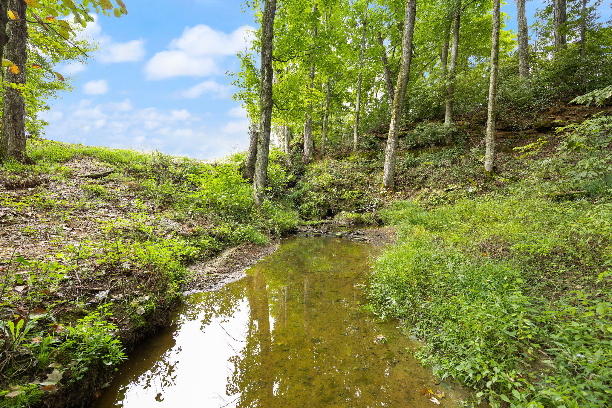 7120 Us-127 Property Photo 58