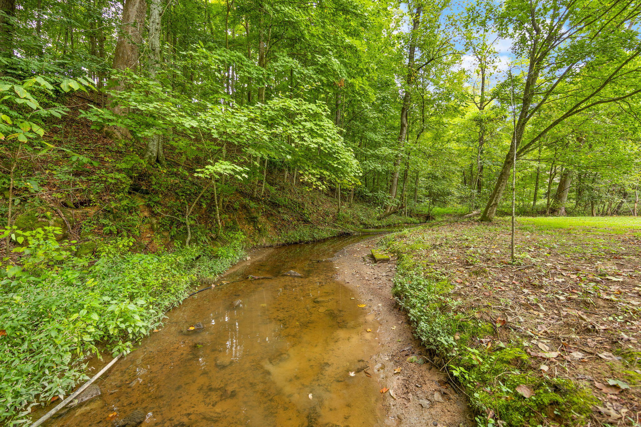 7120 Us-127 Property Photo 59